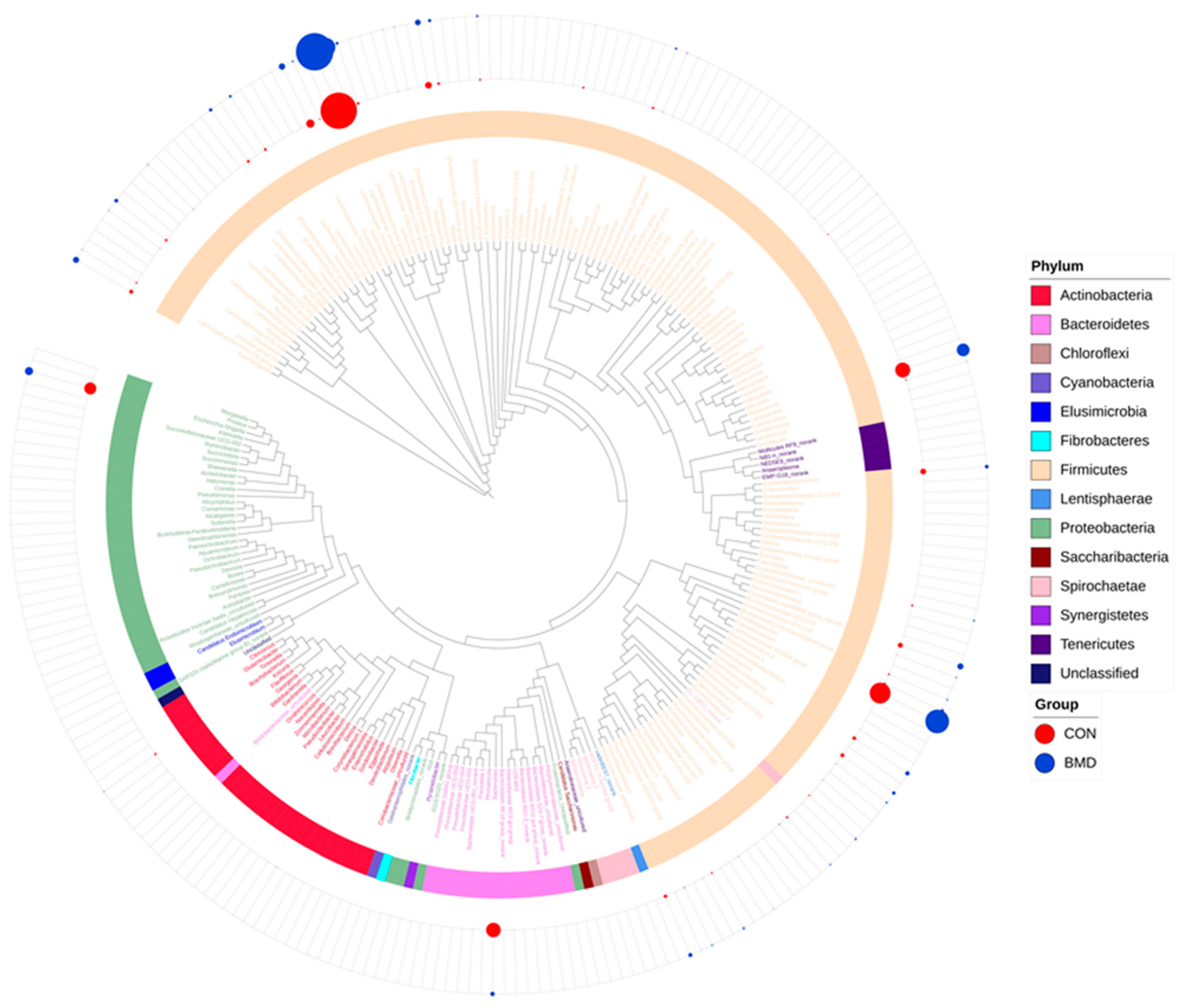 Antibiotics 11 00818 g003