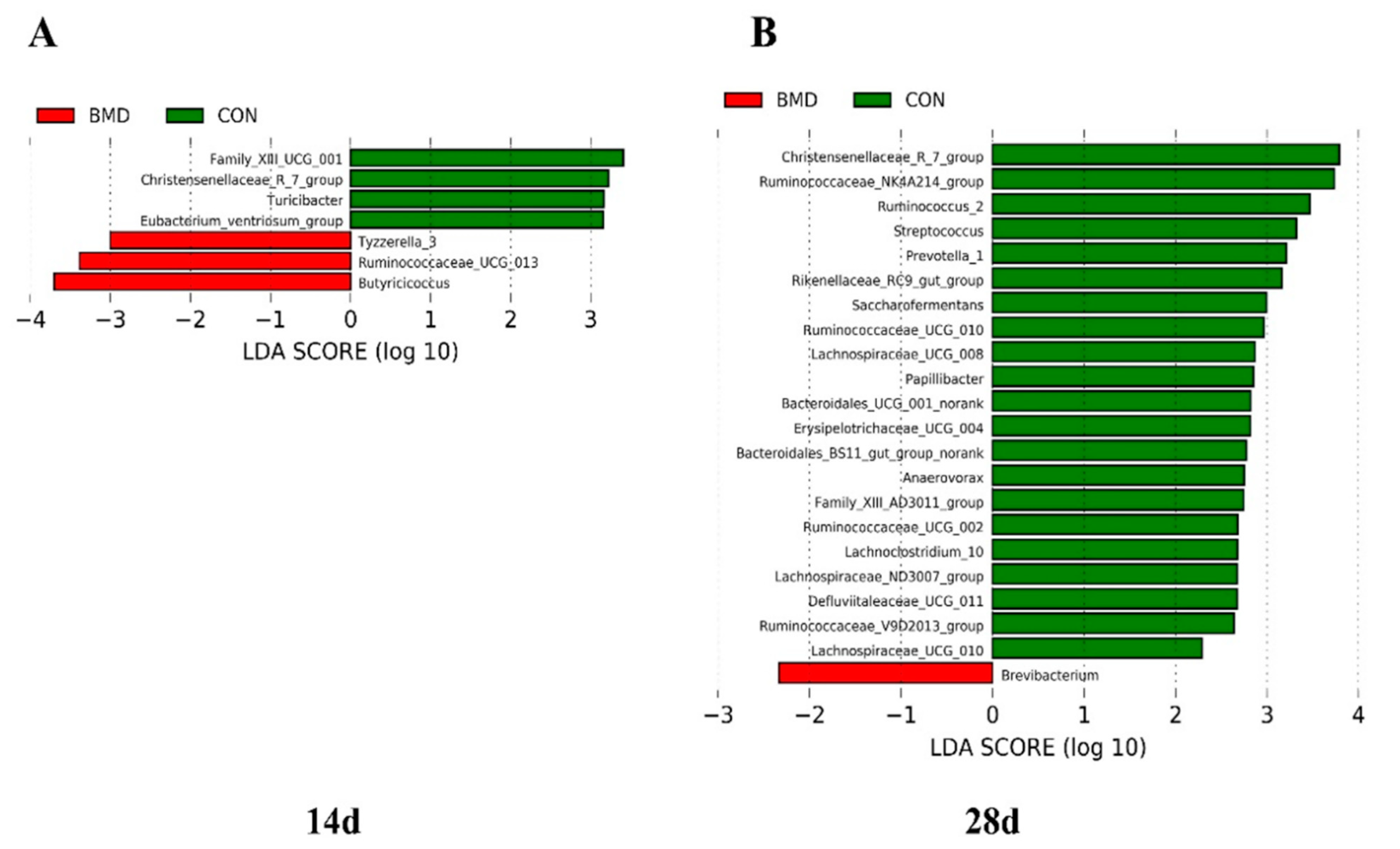 Antibiotics 11 00818 g005