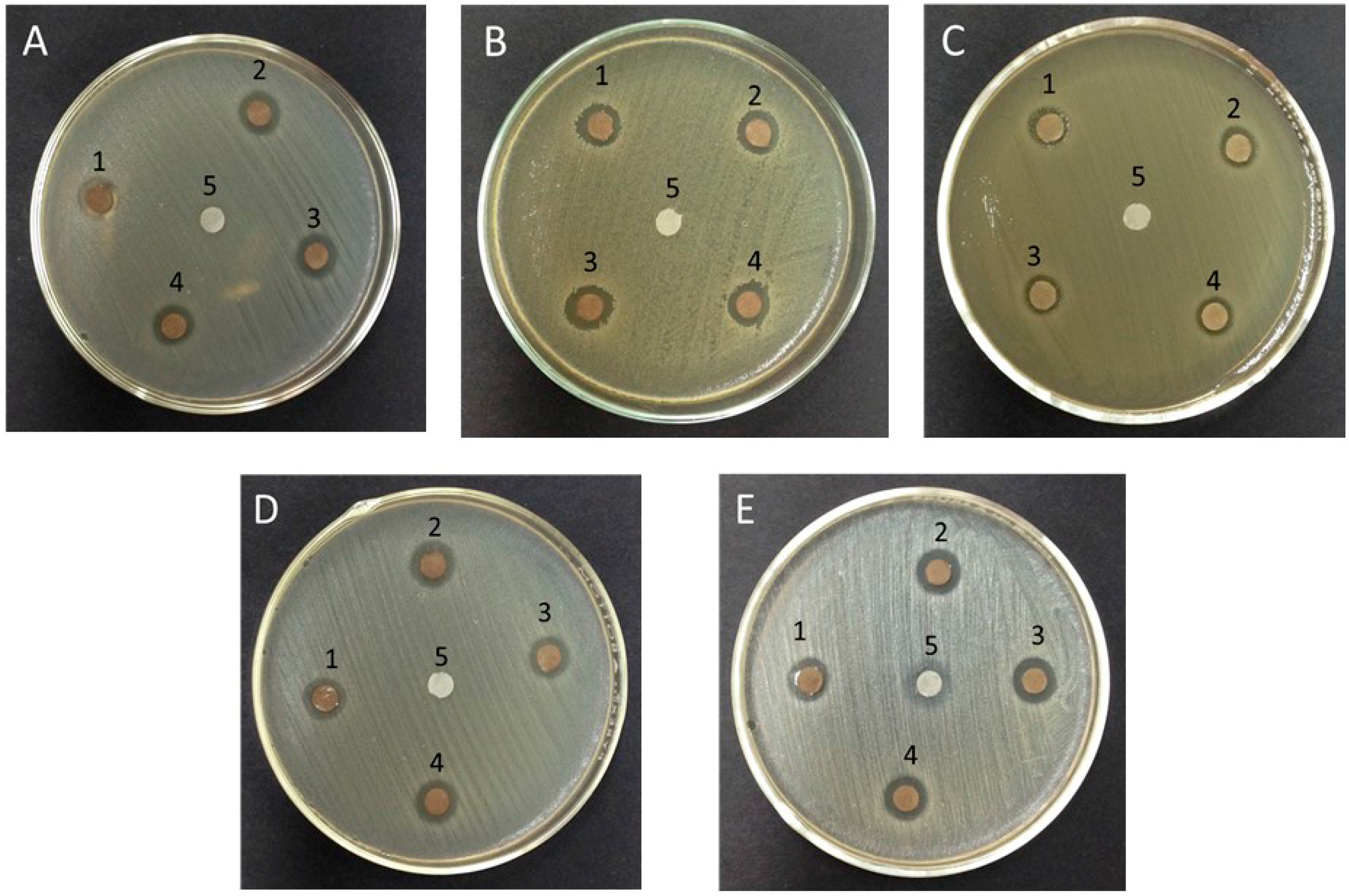 Antibiotics 11 00834 g004 Antibiotics 11 00834 g004