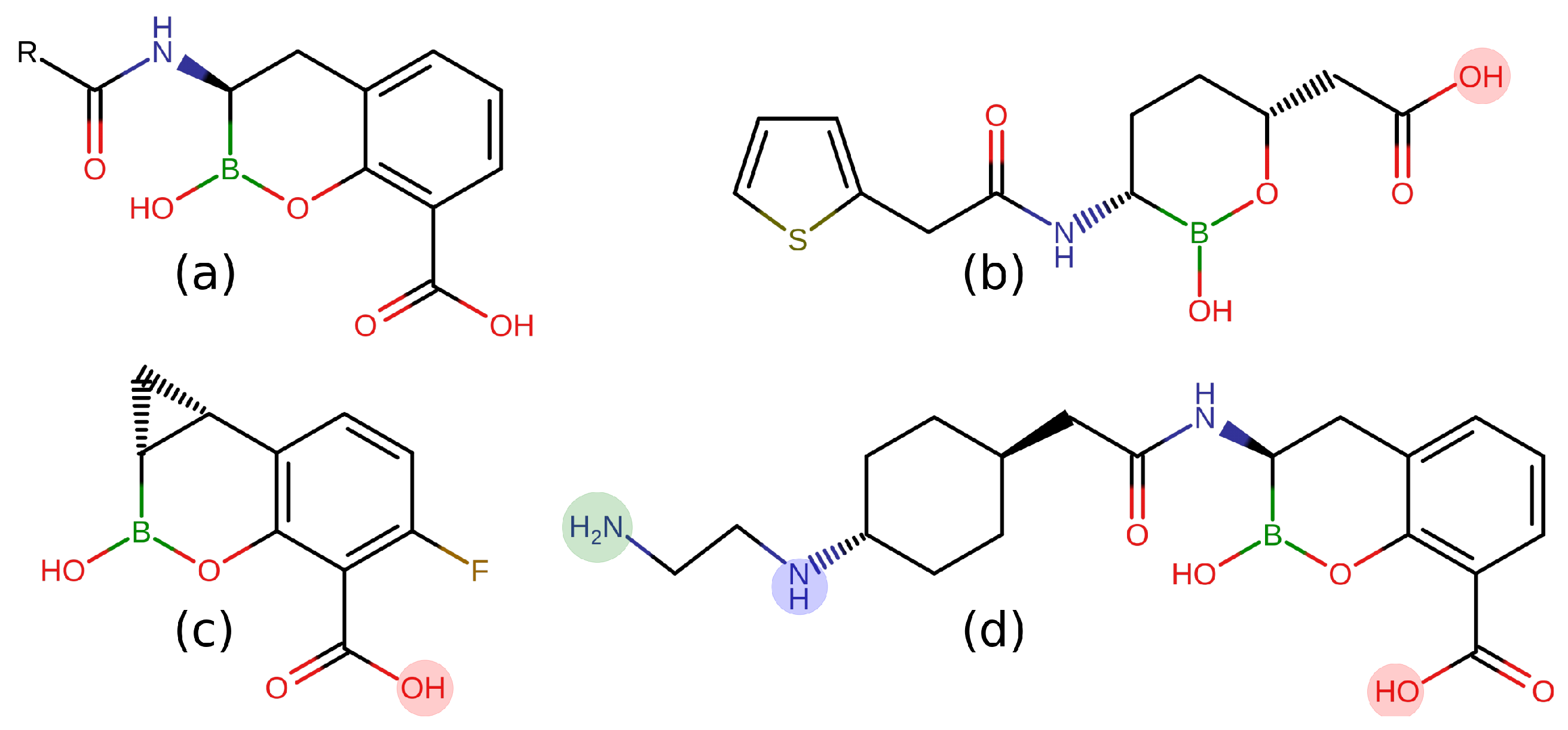 Antibiotics 11 00840 g001