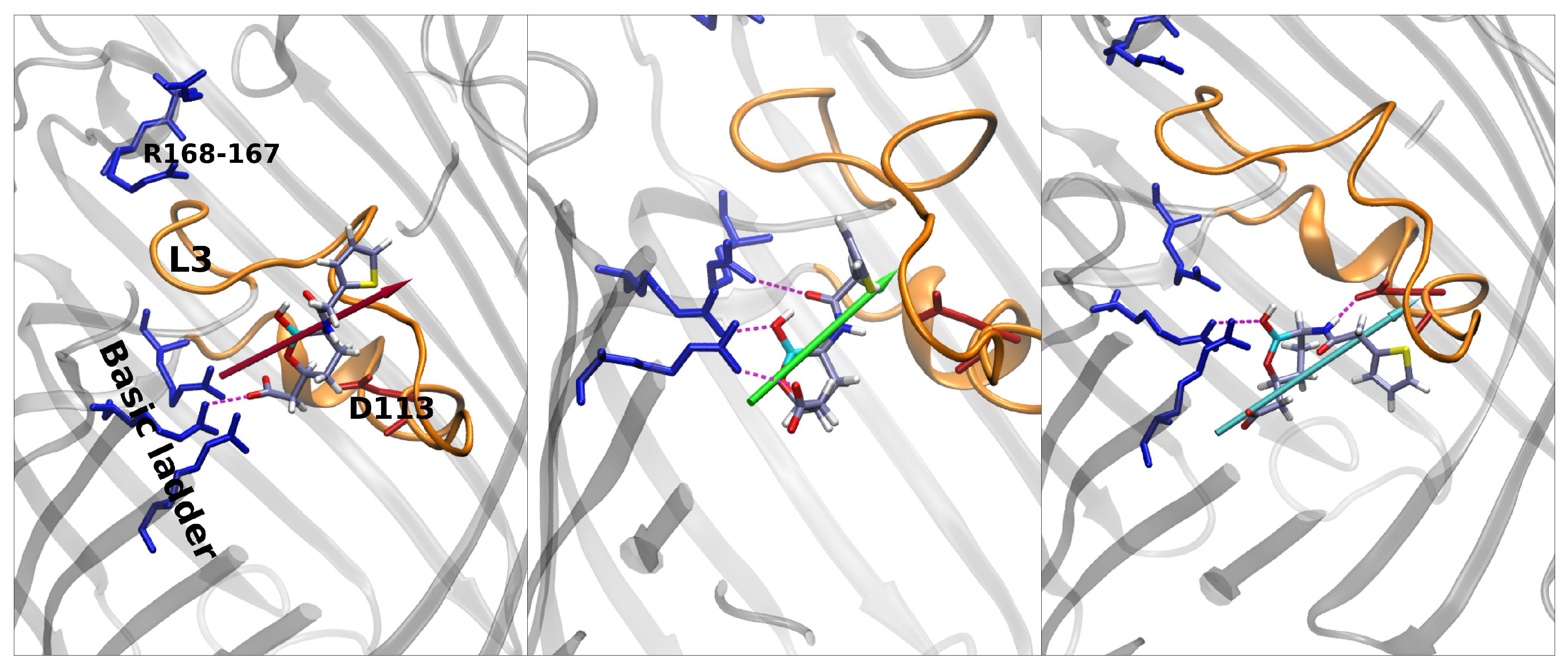 Antibiotics 11 00840 g006
