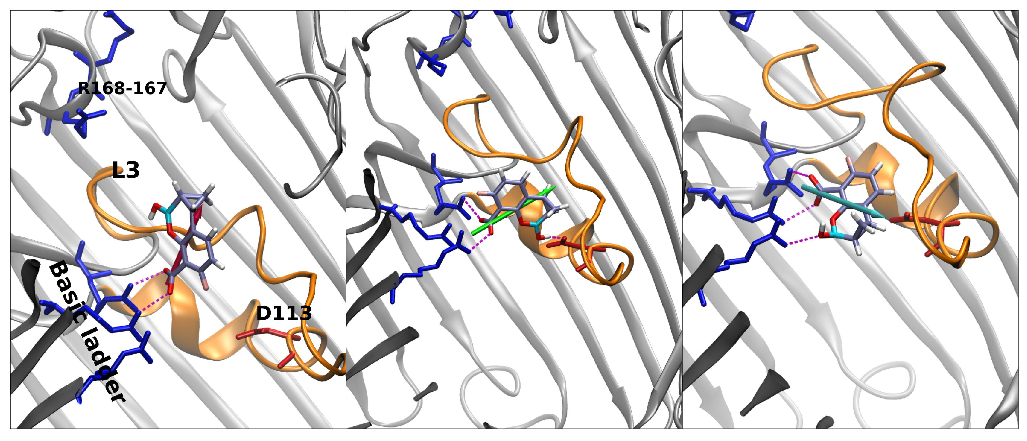 Antibiotics 11 00840 g007