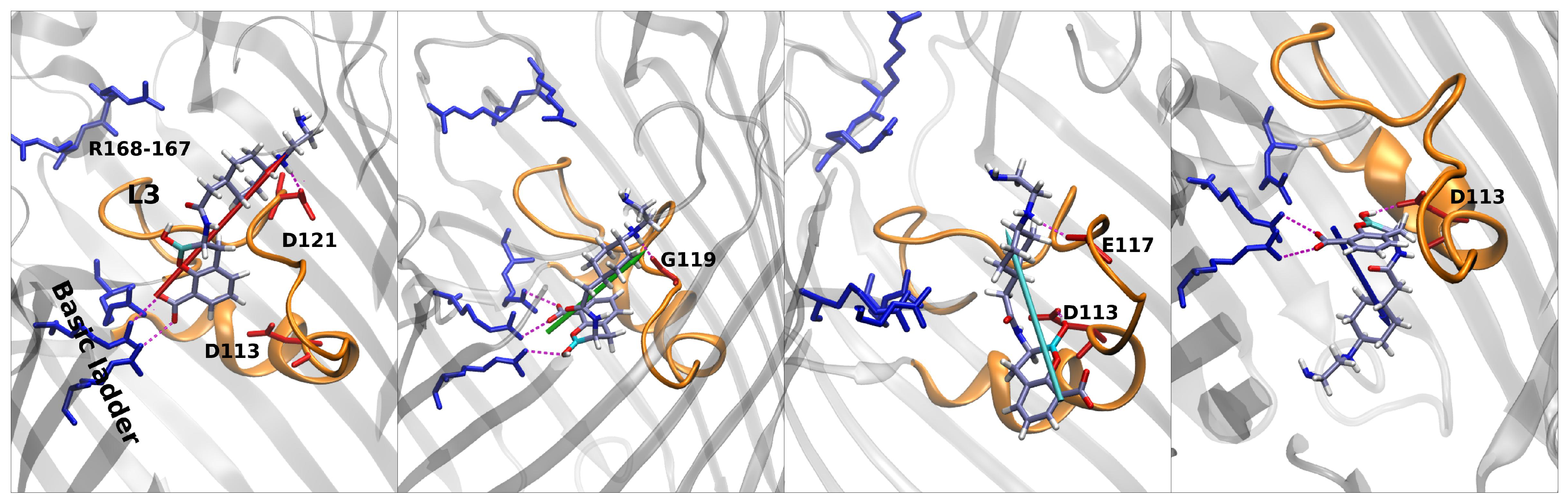 Antibiotics 11 00840 g008