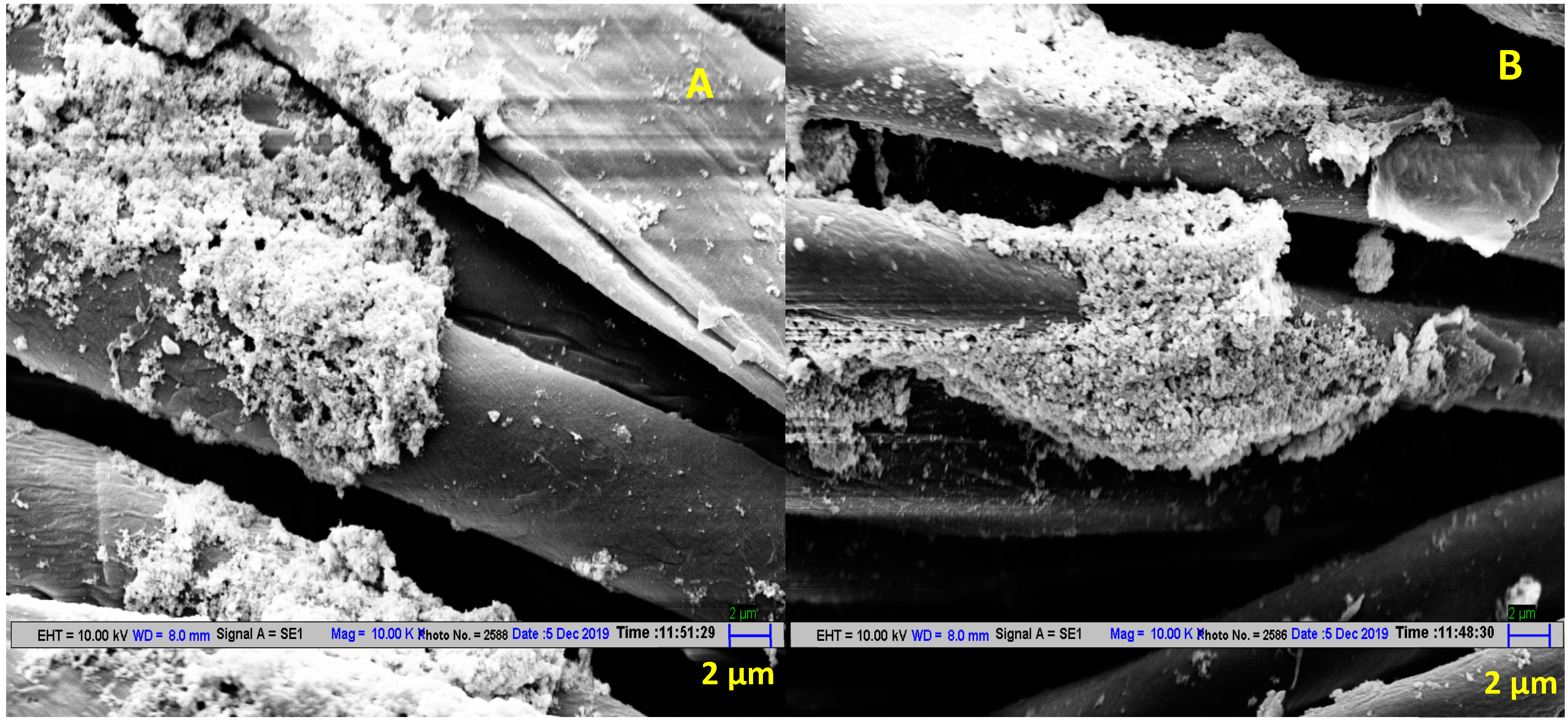 Antibiotics 11 00864 g003