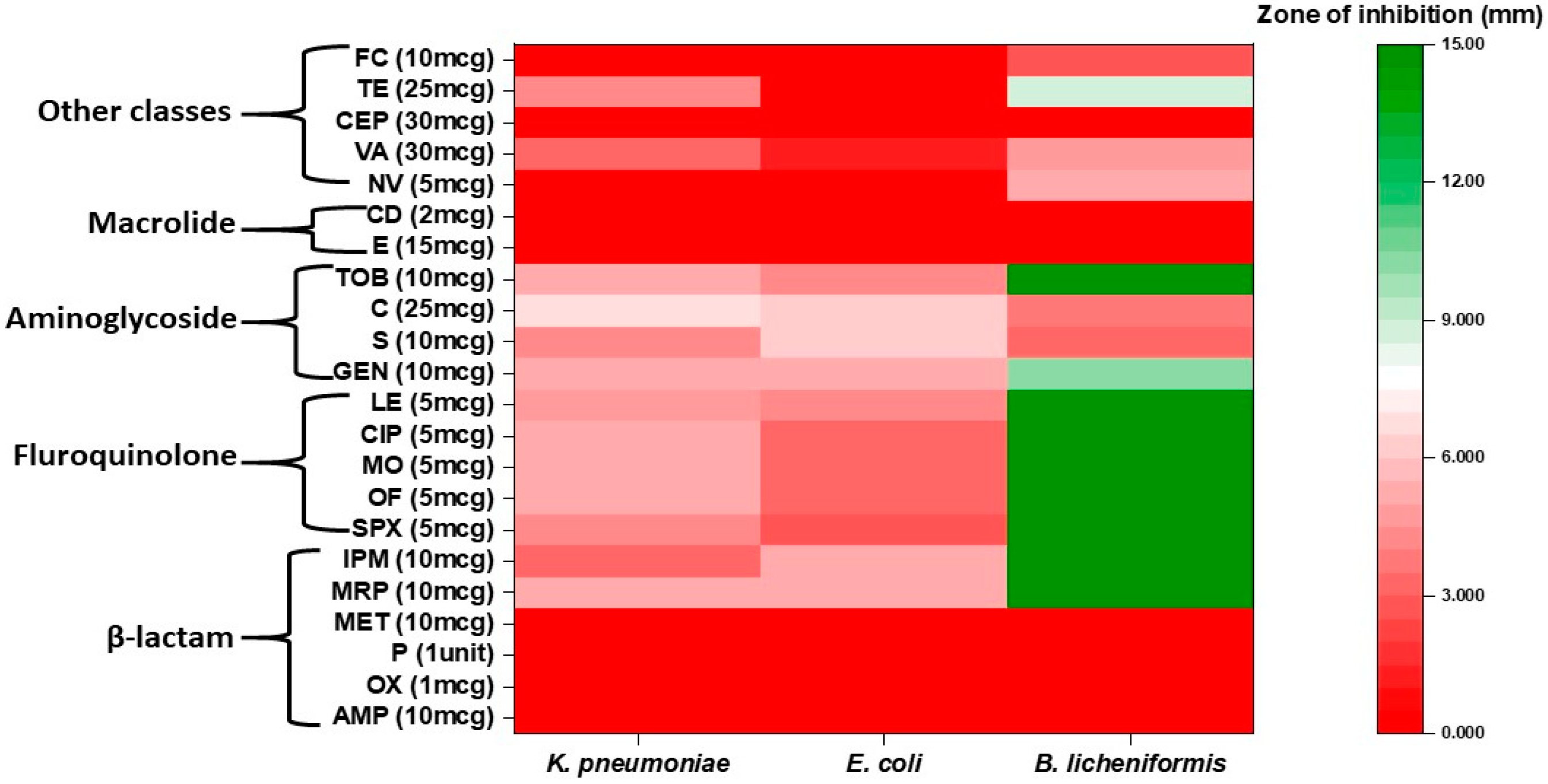 Antibiotics 11 00864 g004