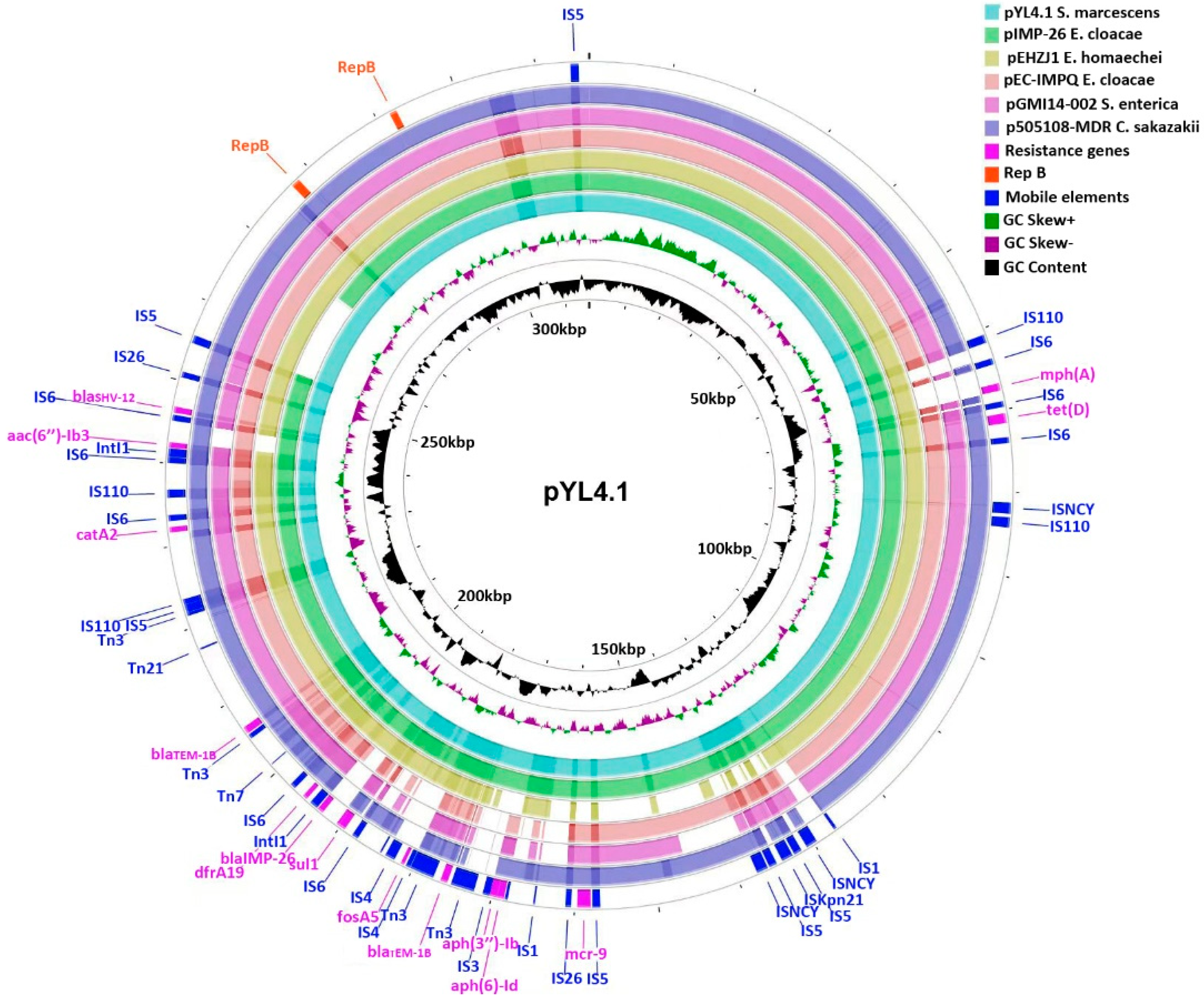 Antibiotics 11 00869 g001