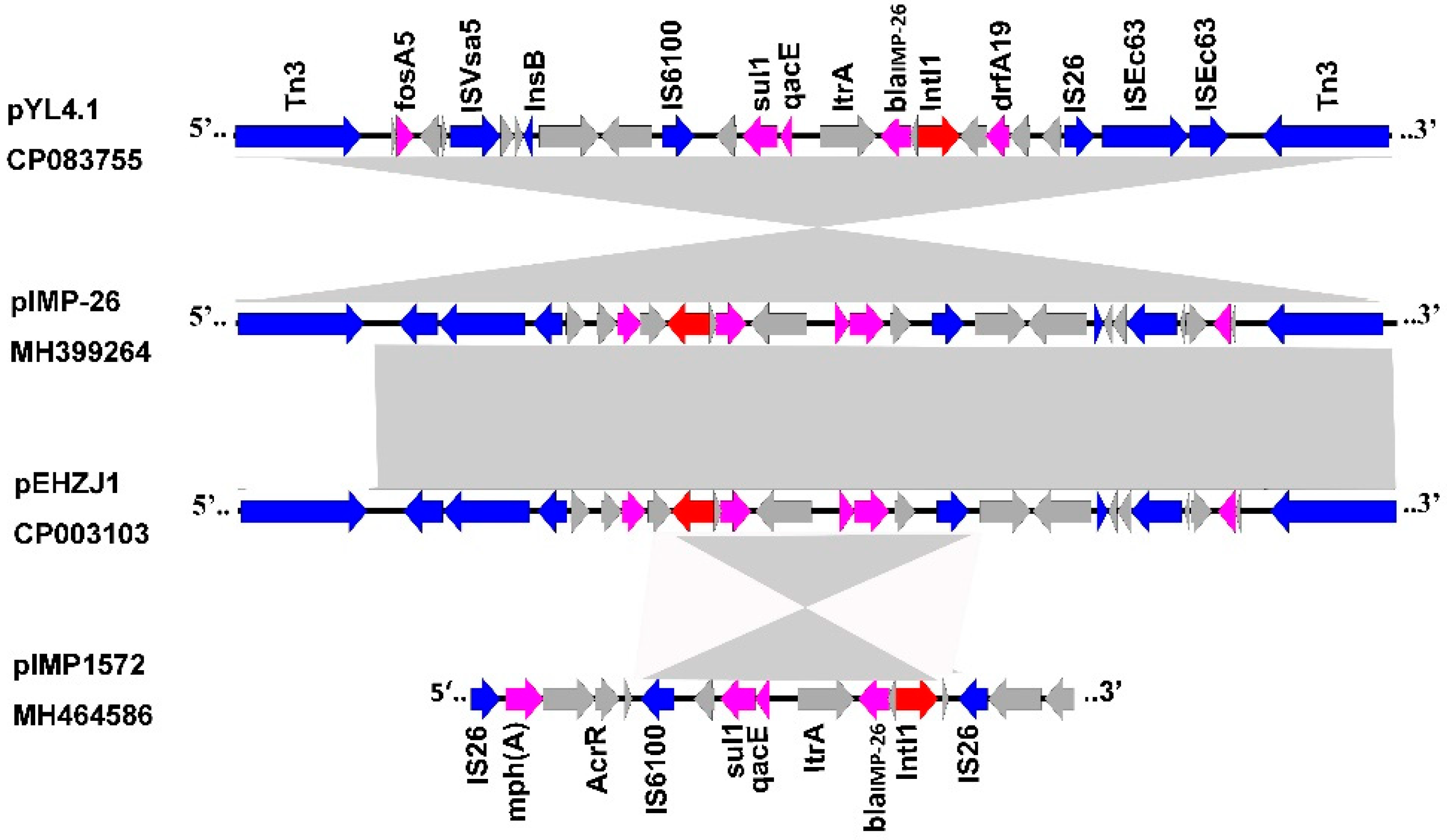 Antibiotics 11 00869 g002