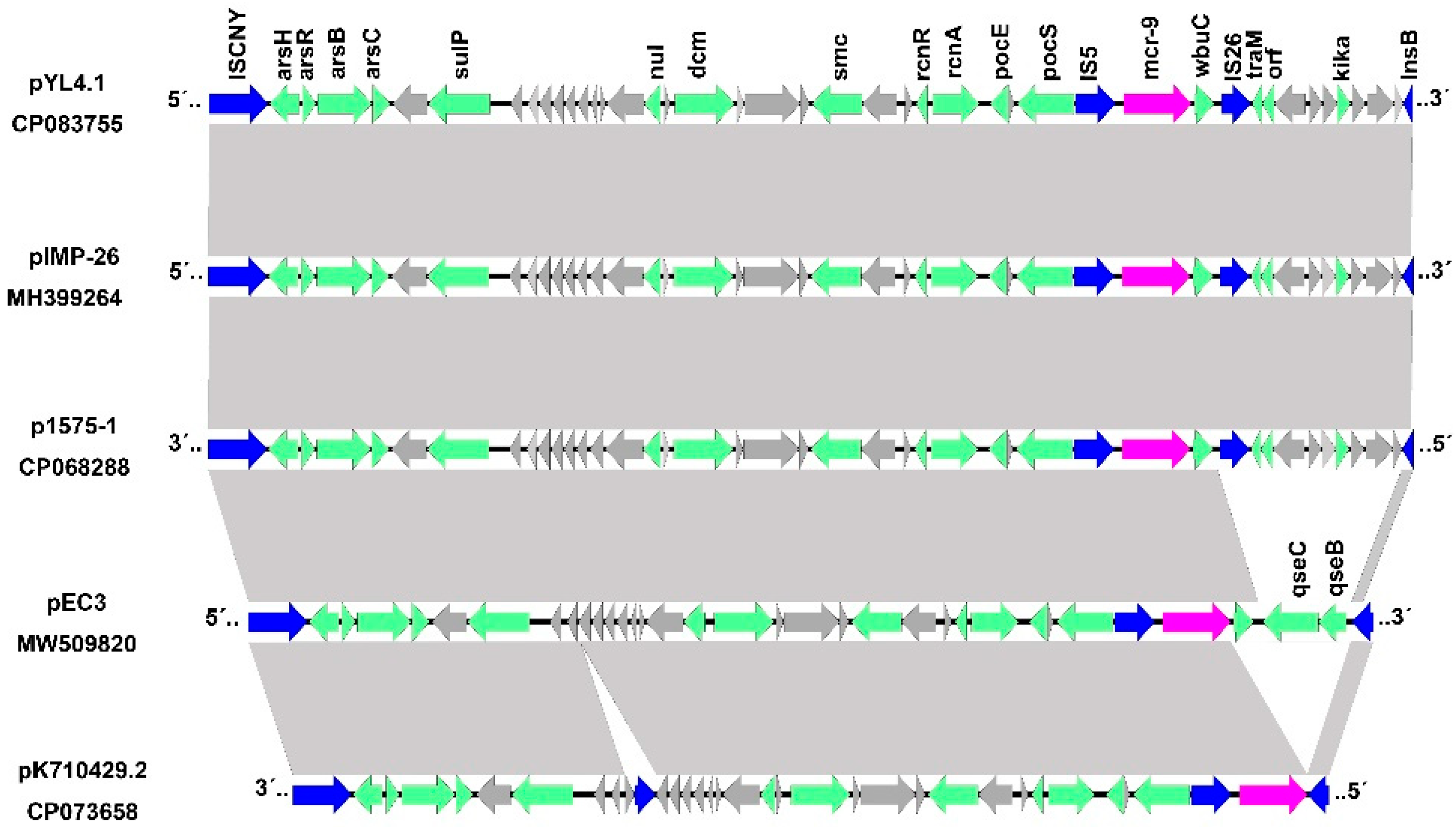 Antibiotics 11 00869 g003