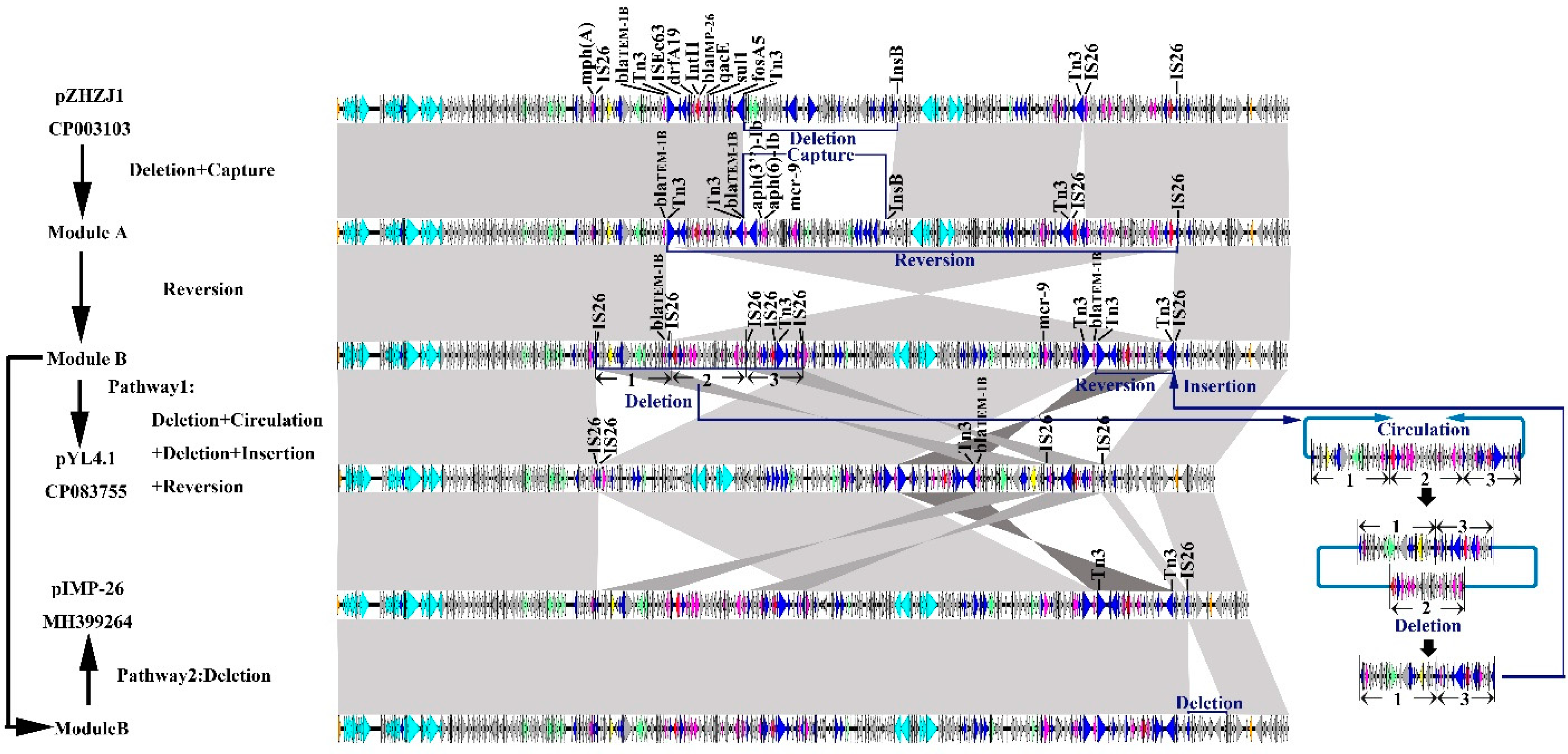 Antibiotics 11 00869 g004