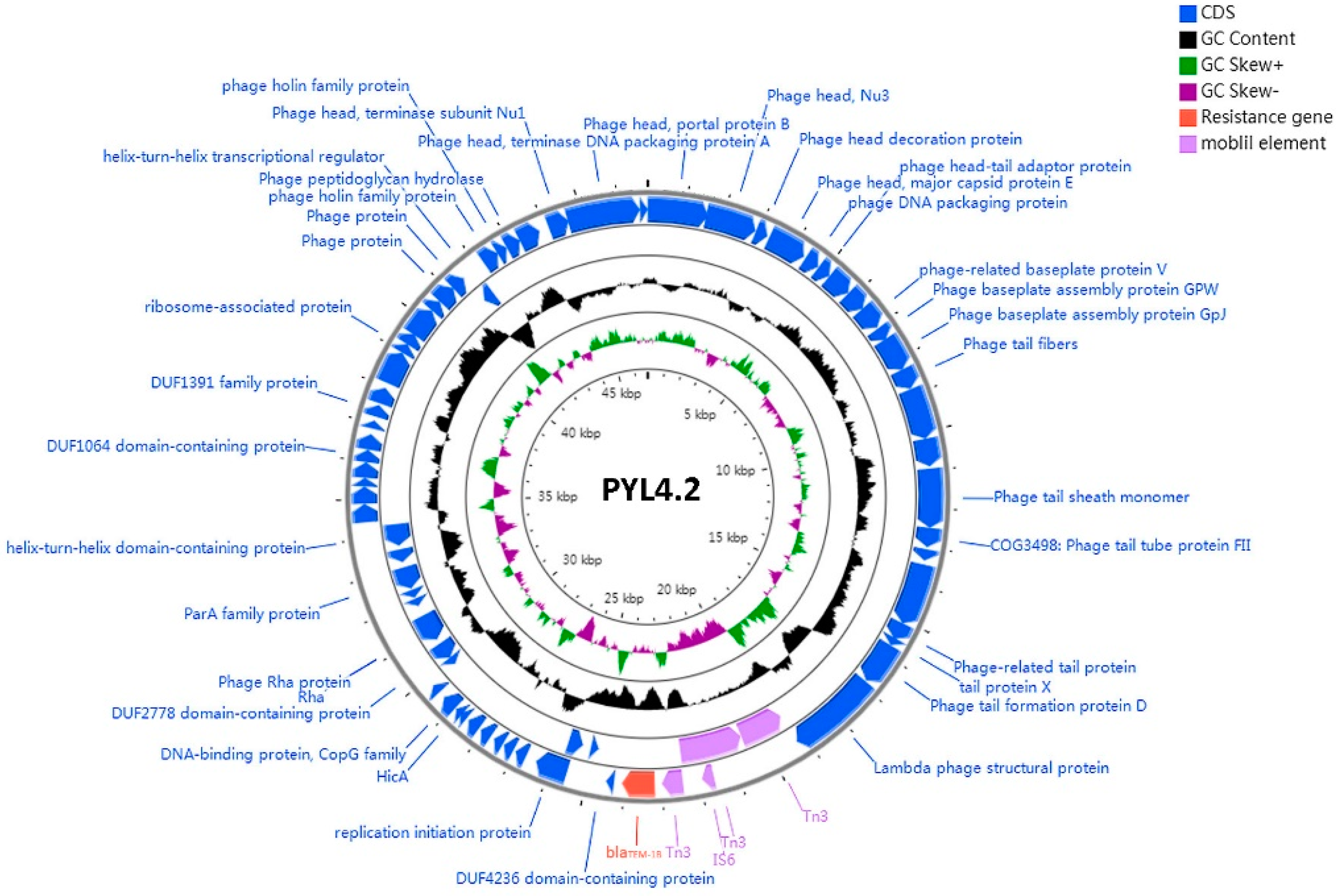 Antibiotics 11 00869 g005