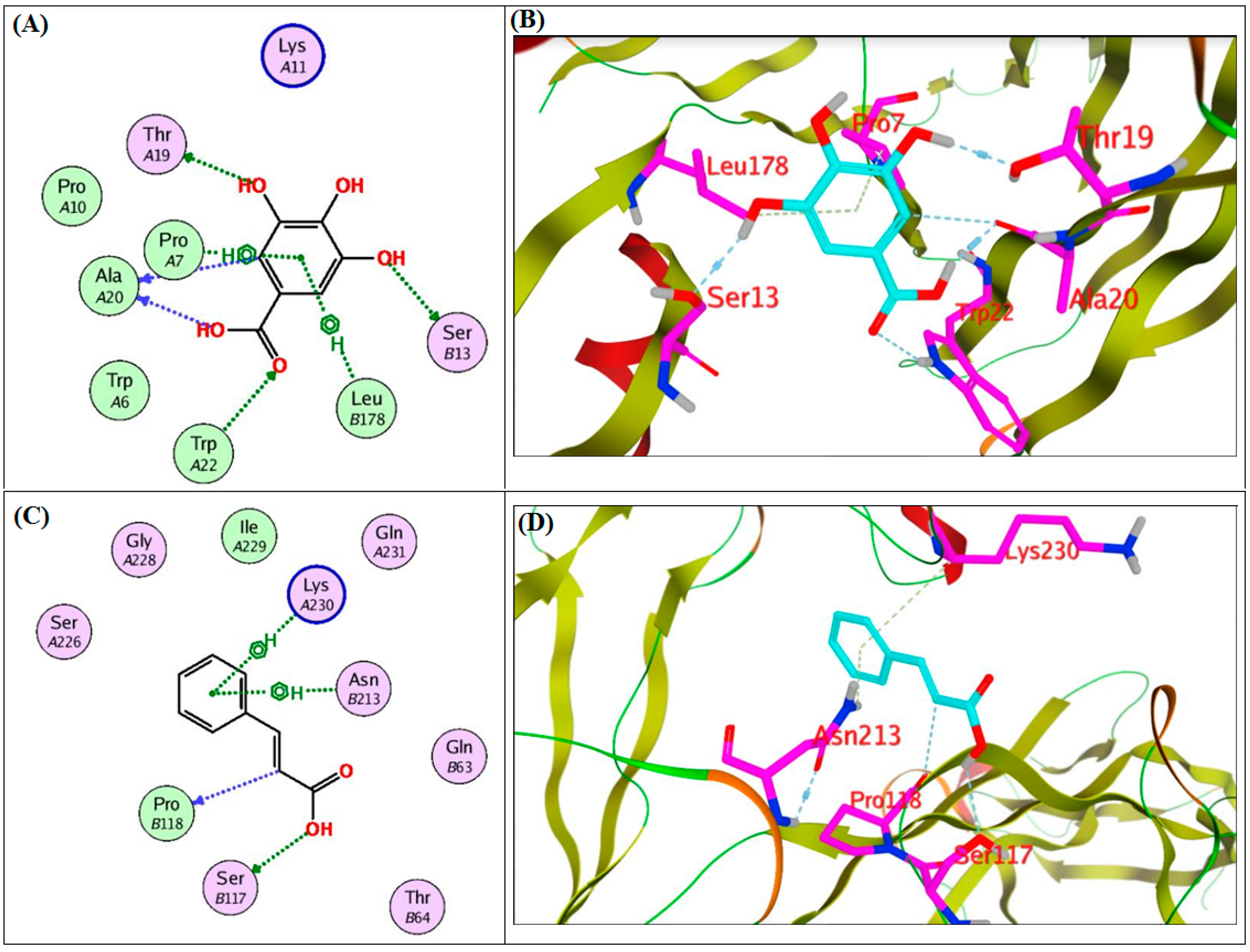 Antibiotics 11 00870 g004
