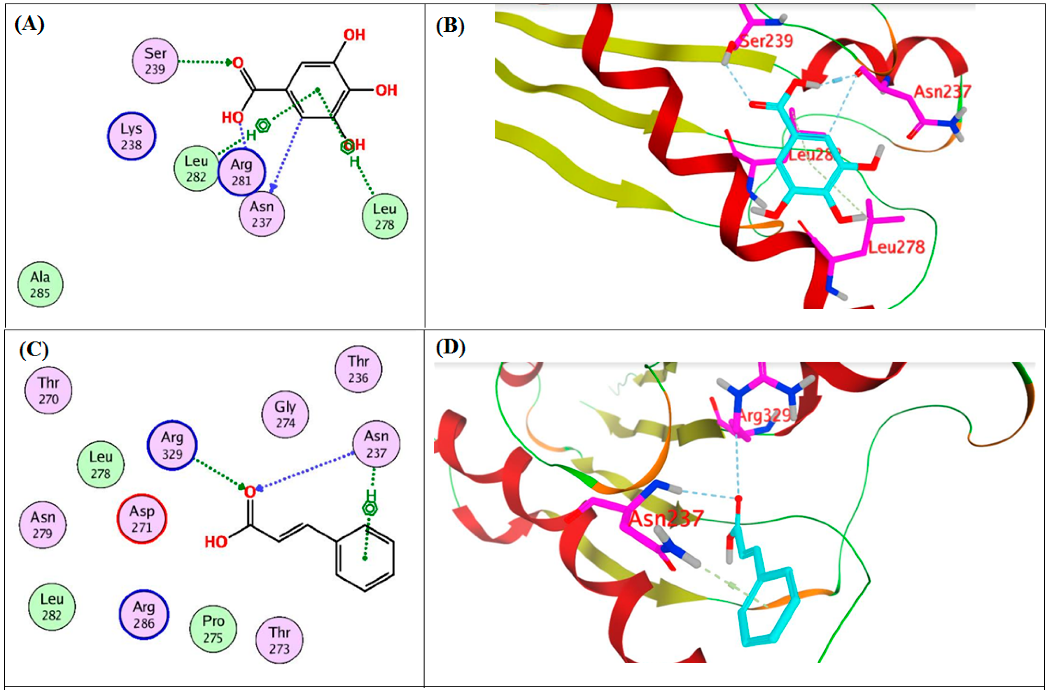 Antibiotics 11 00870 g005