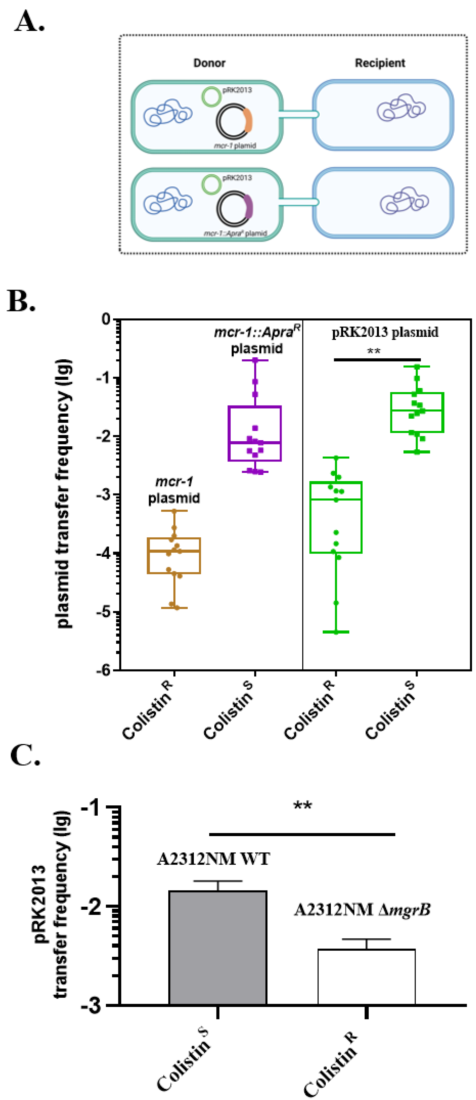 Antibiotics 11 00875 g004 Antibiotics 11 00875 g004