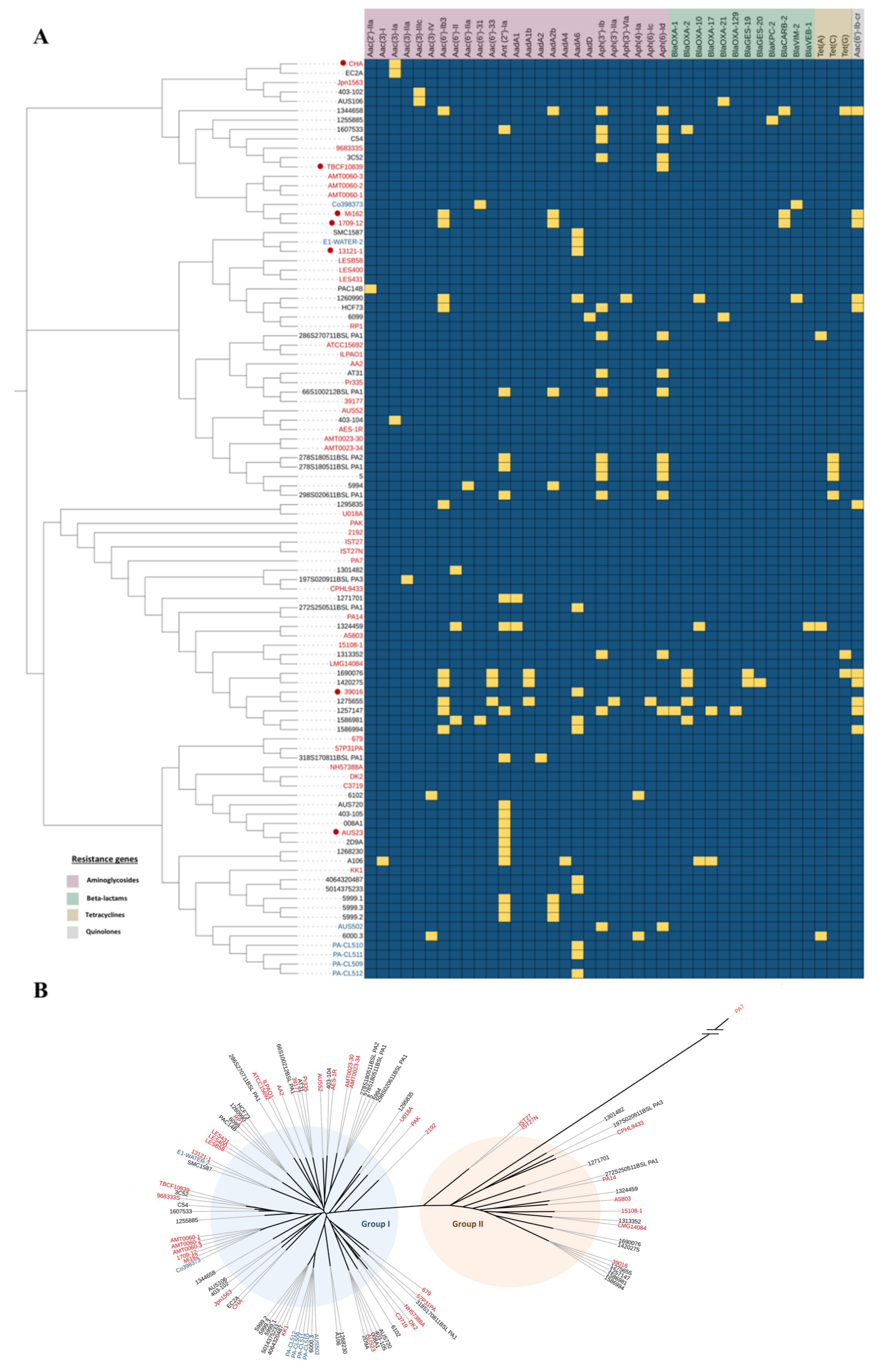 Antibiotics 11 00884 g001