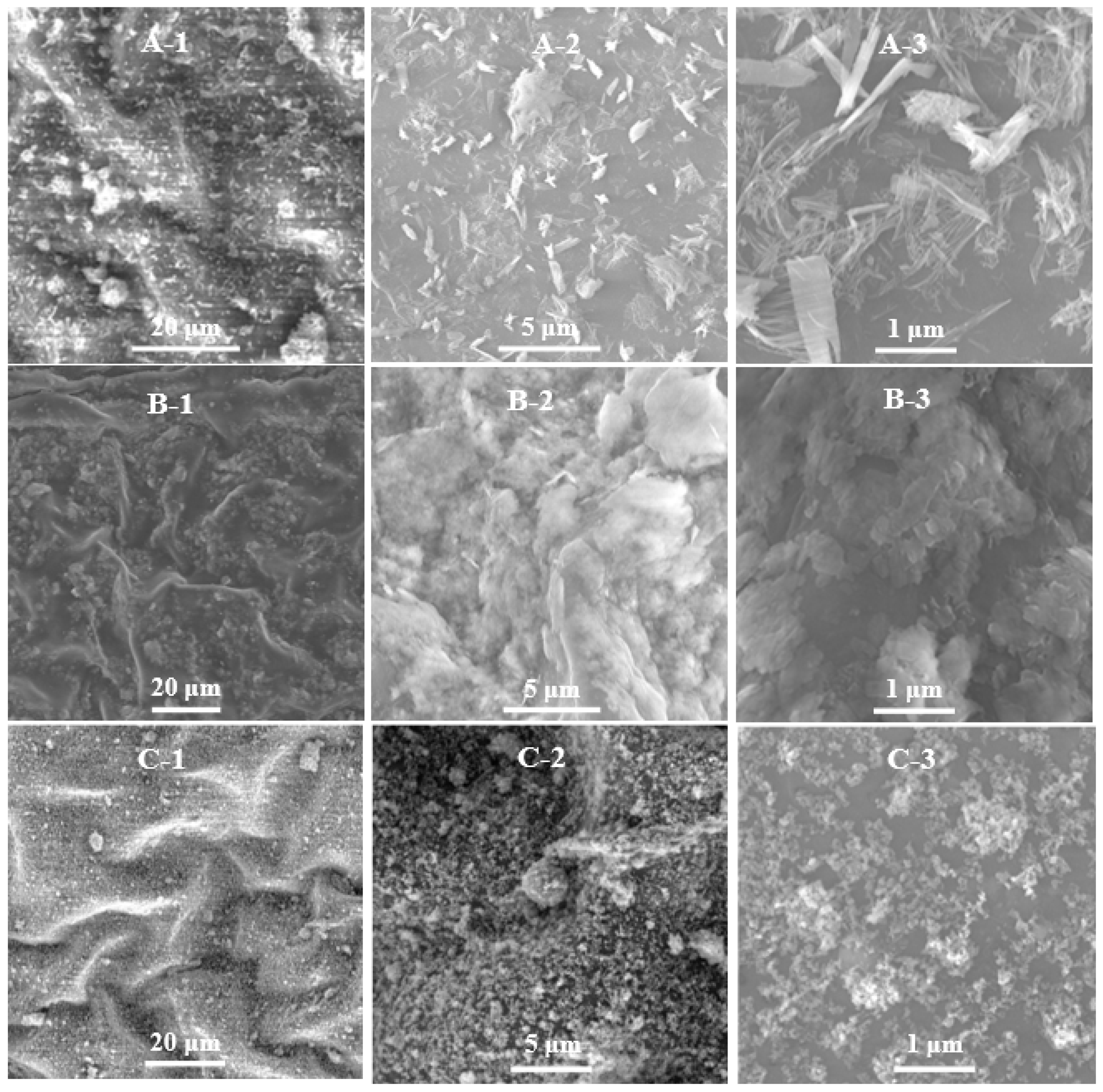 Antibiotics 11 00891 g005