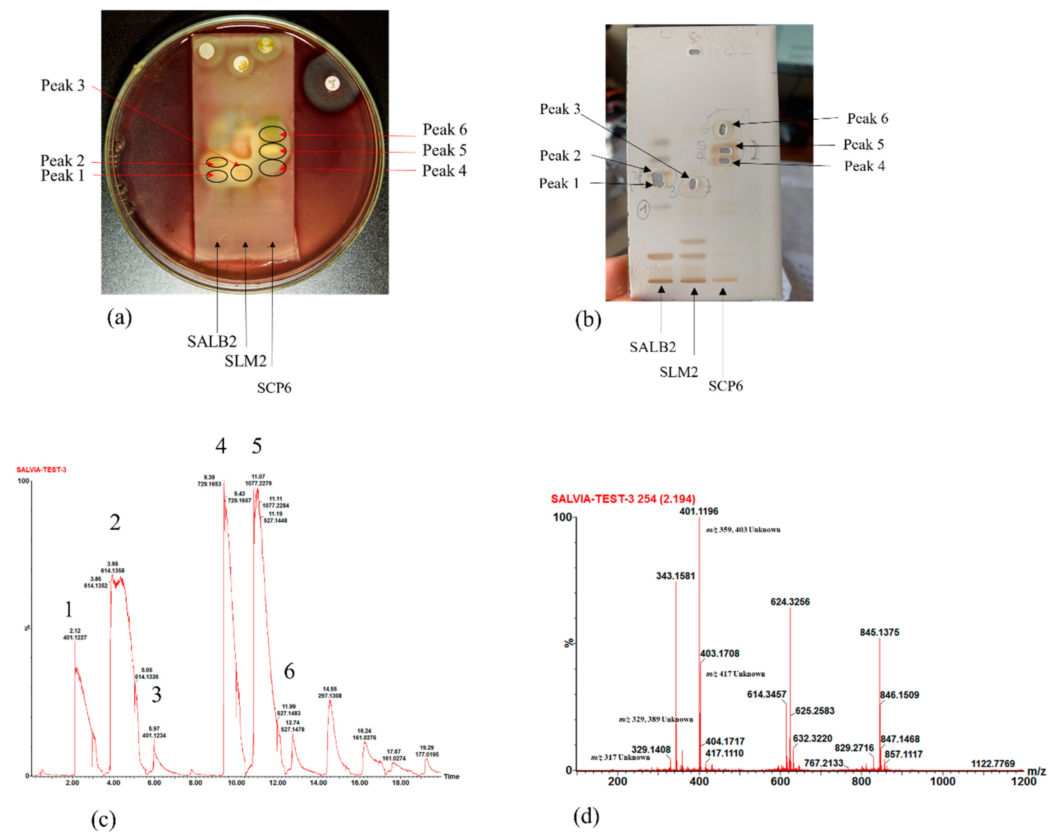 Antibiotics 11 00901 g003 Antibiotics 11 00901 g003