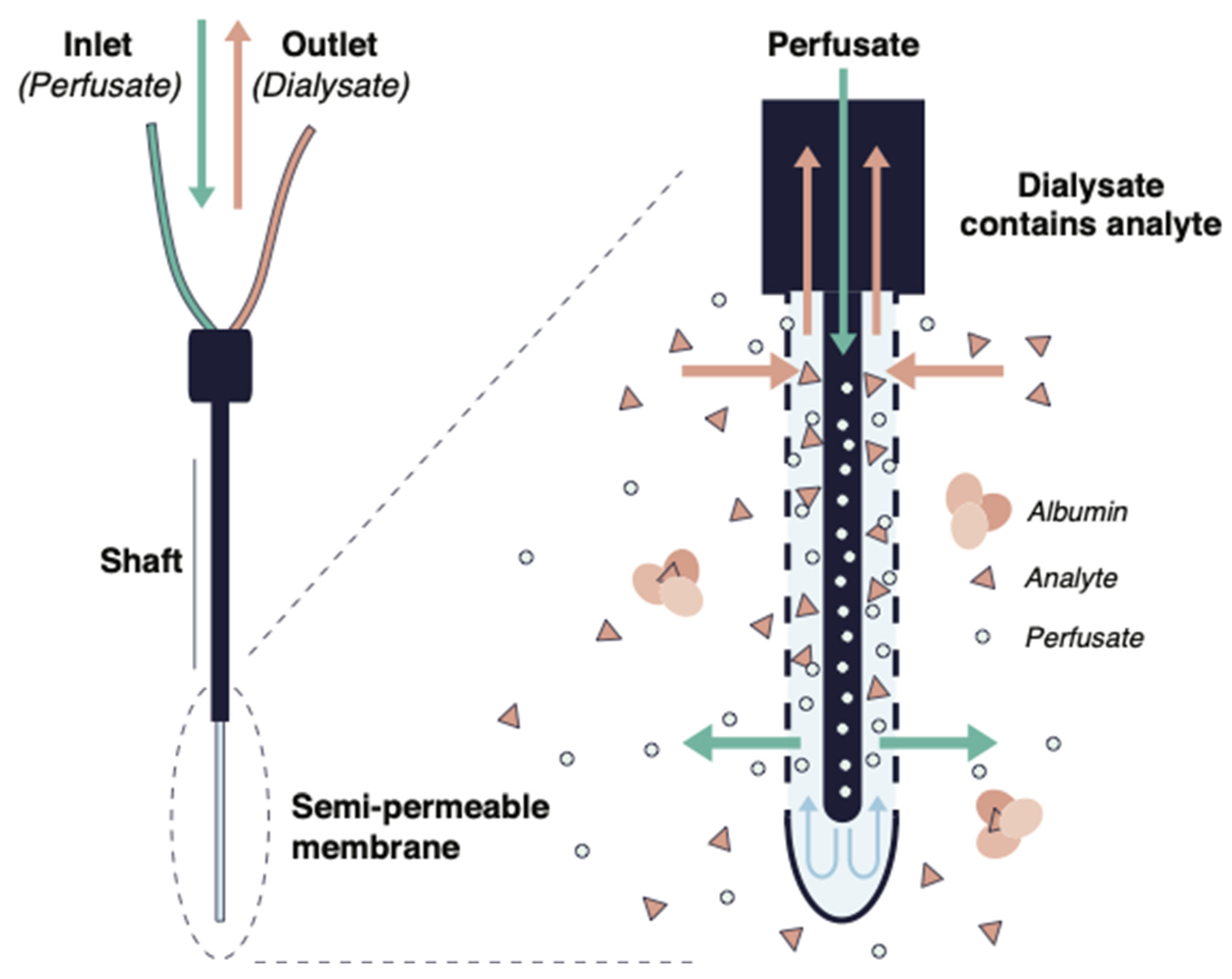 Antibiotics 11 00923 g003