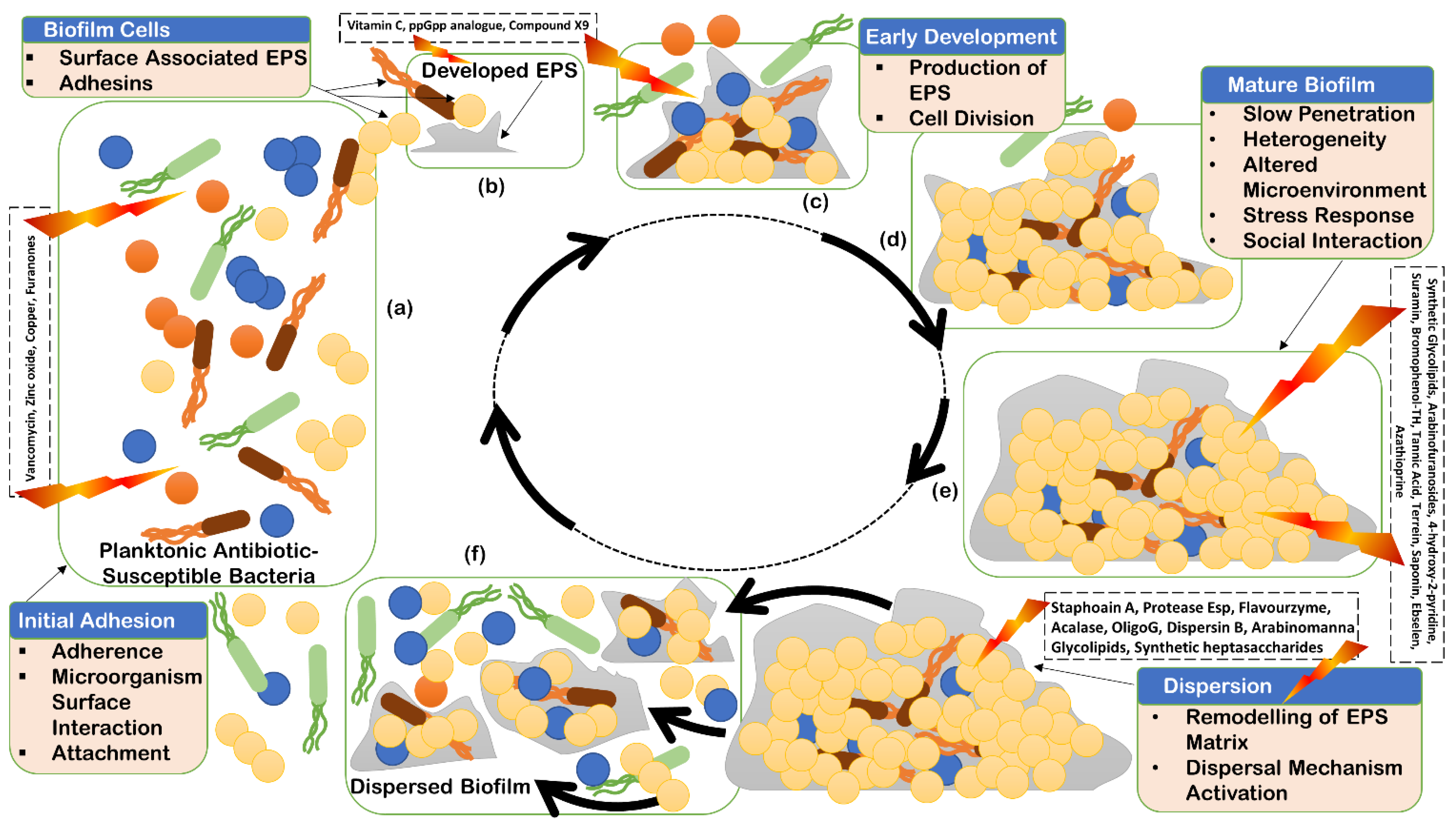 Antibiotics 11 00930 g001