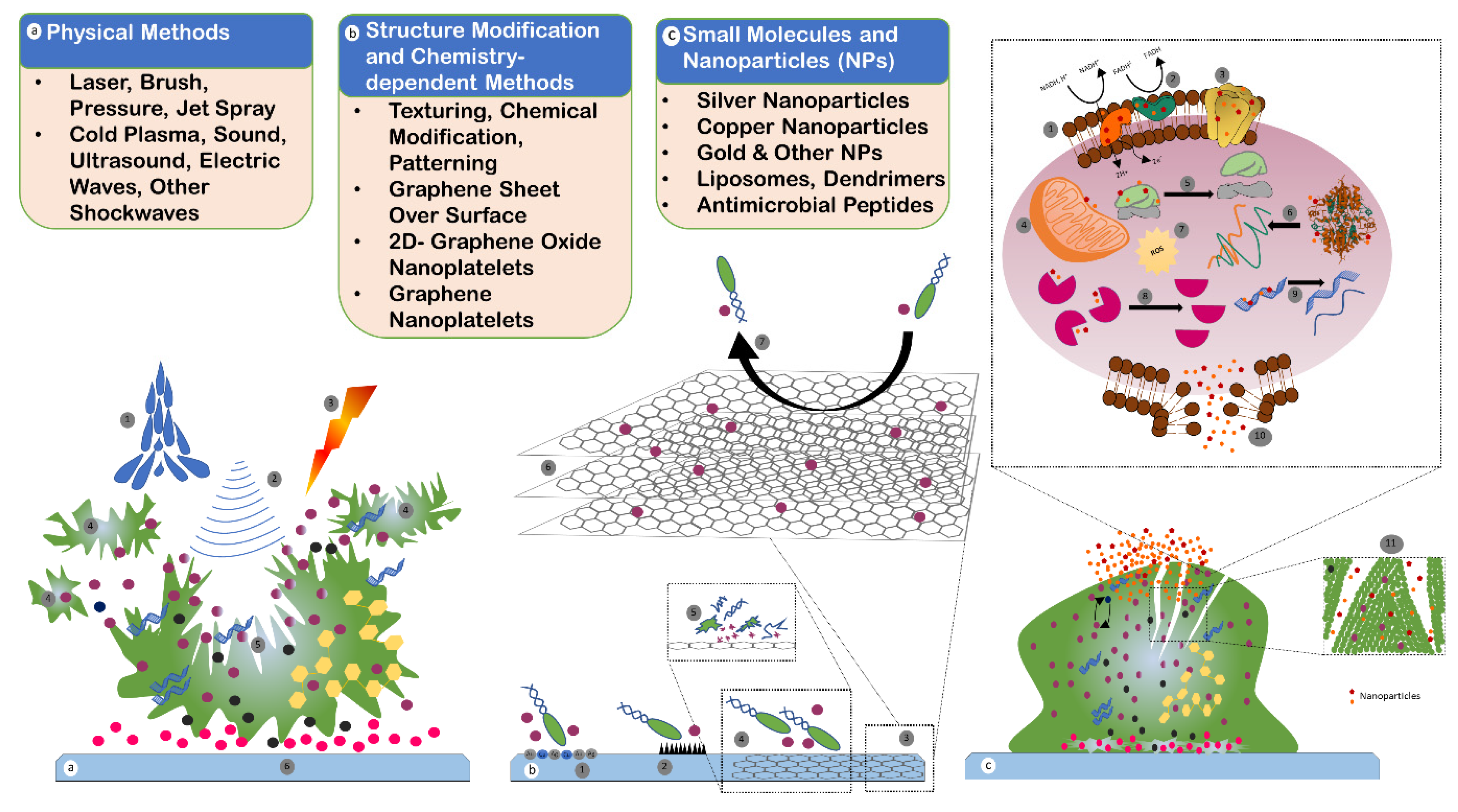 Antibiotics 11 00930 g005