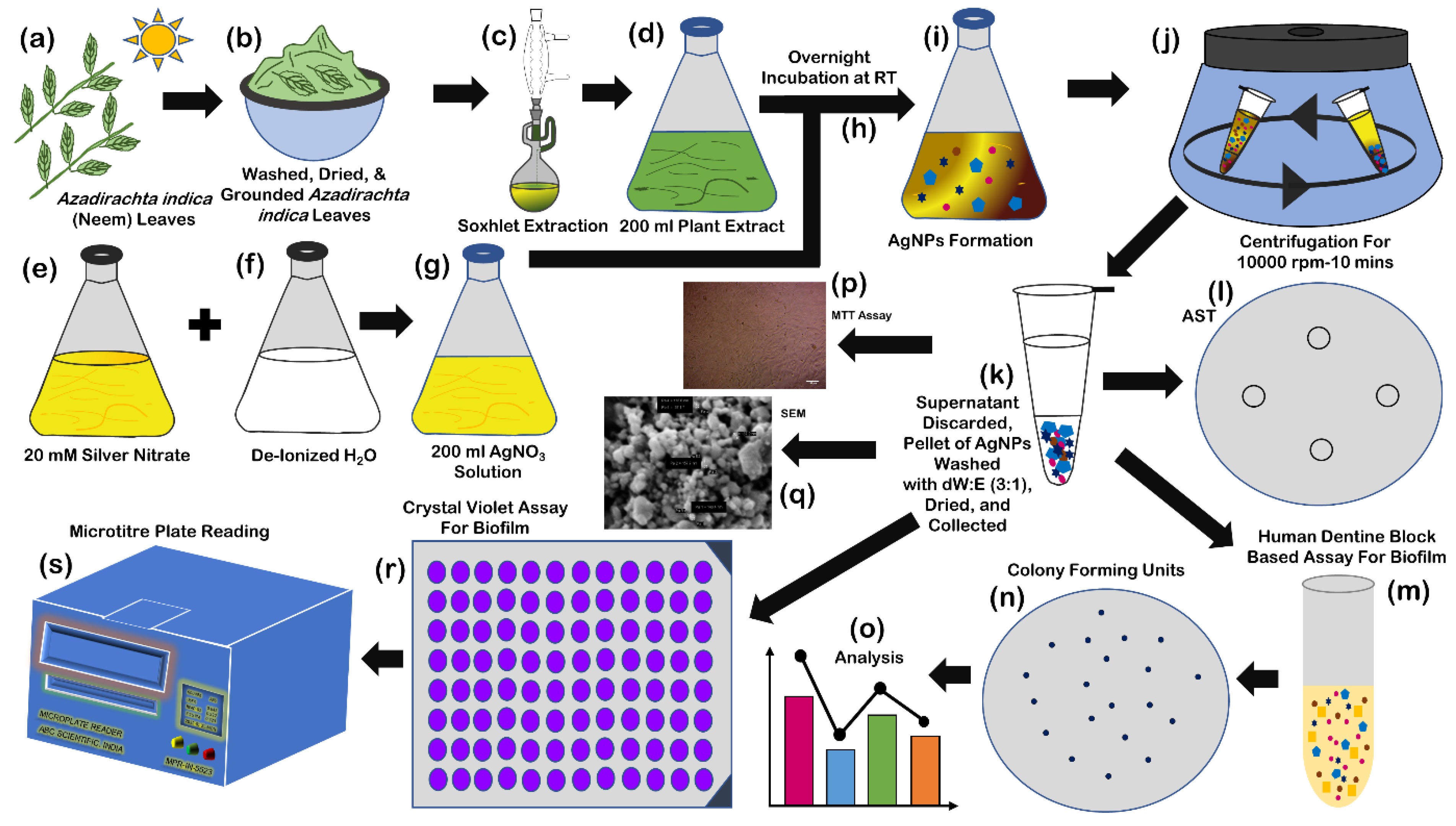 Antibiotics 11 00930 g006