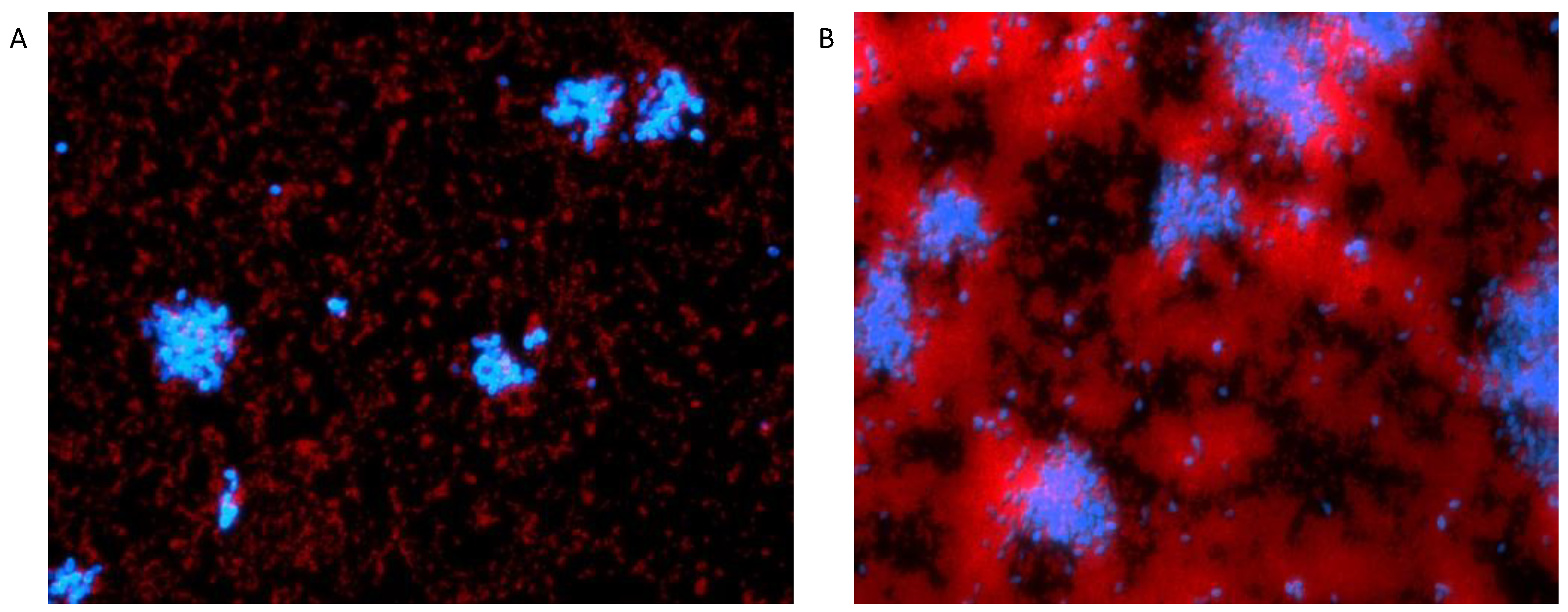Antibiotics 11 00931 g002