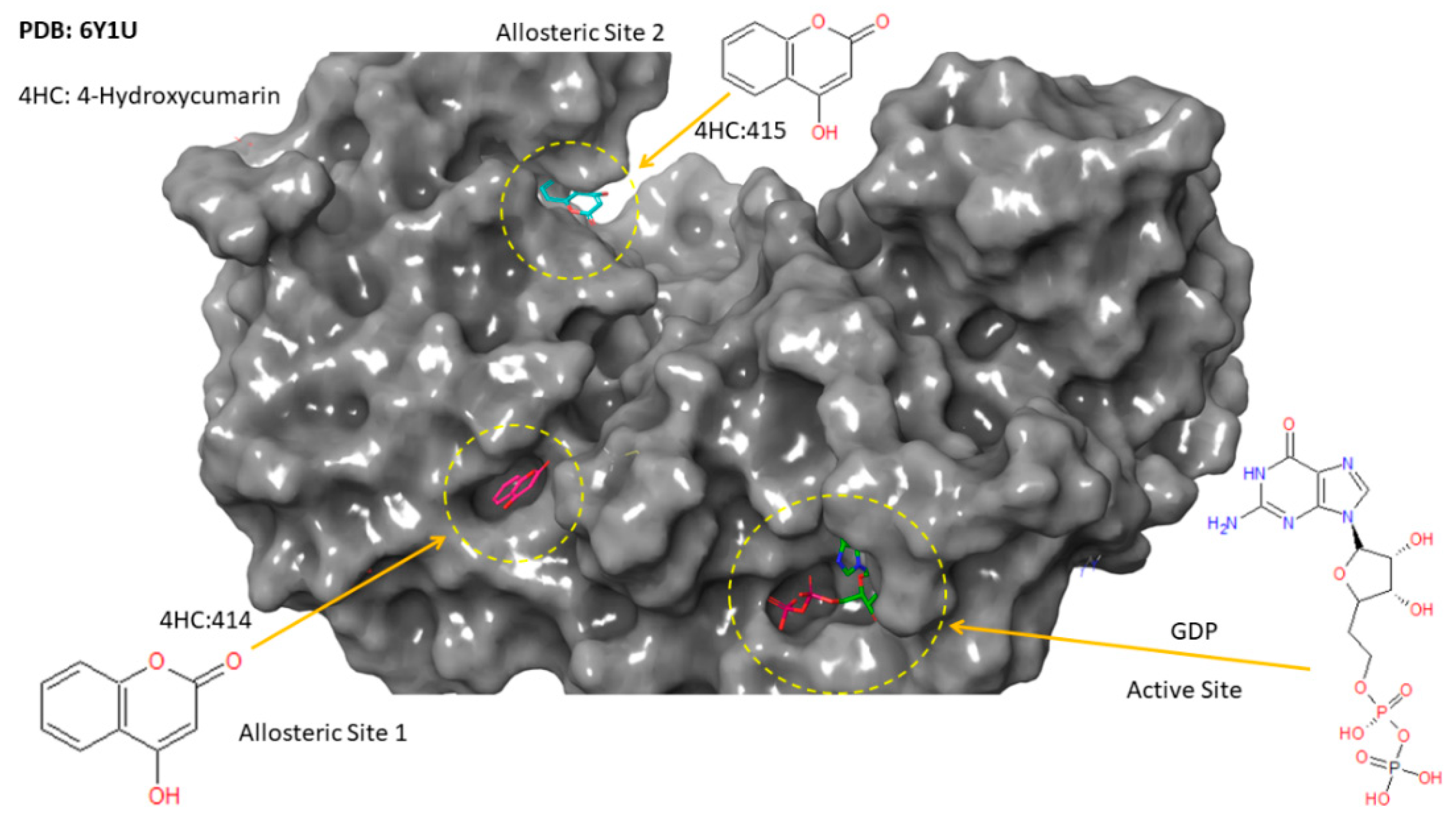 Antibiotics 11 00948 g006