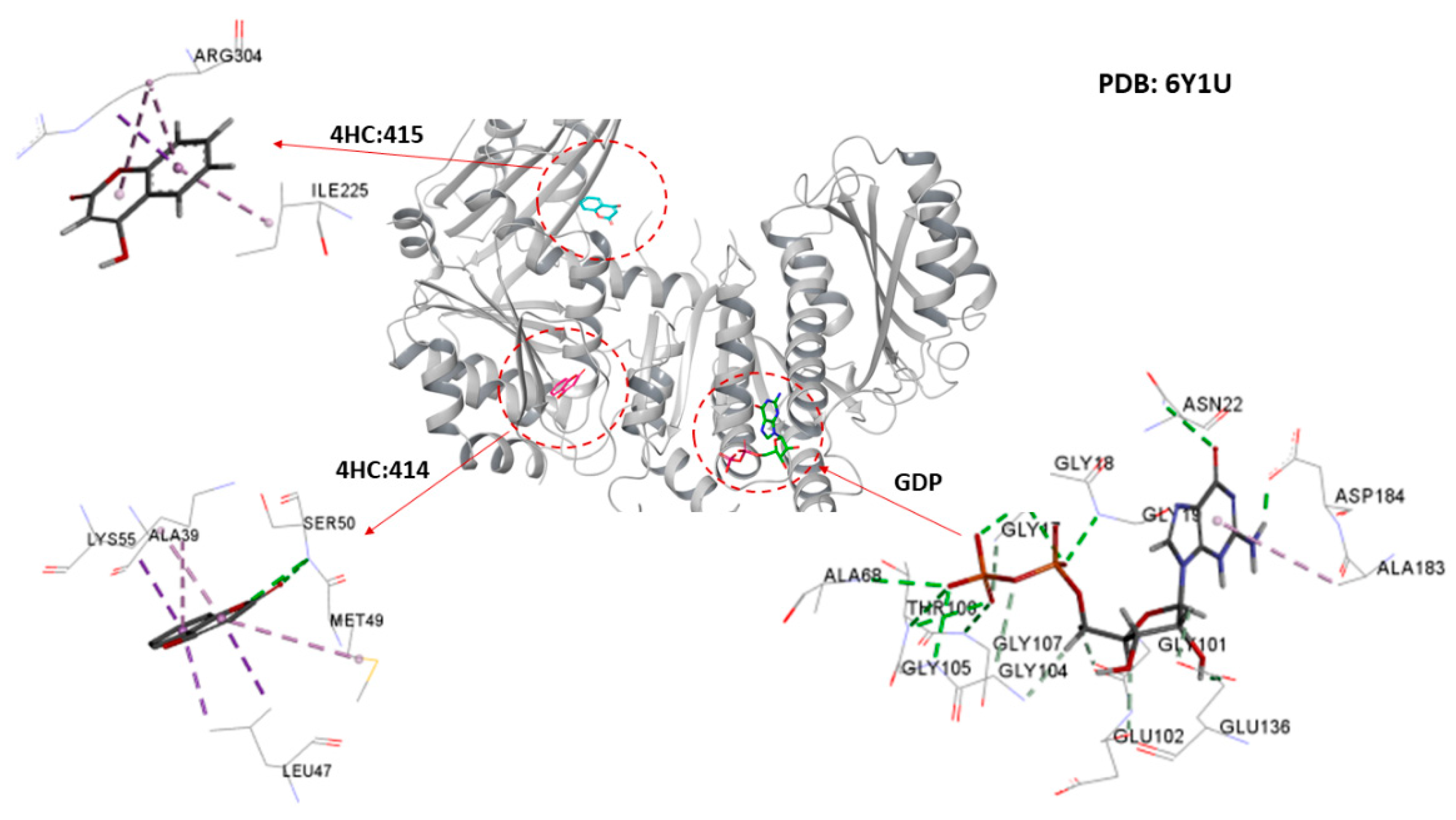 Antibiotics 11 00948 g007