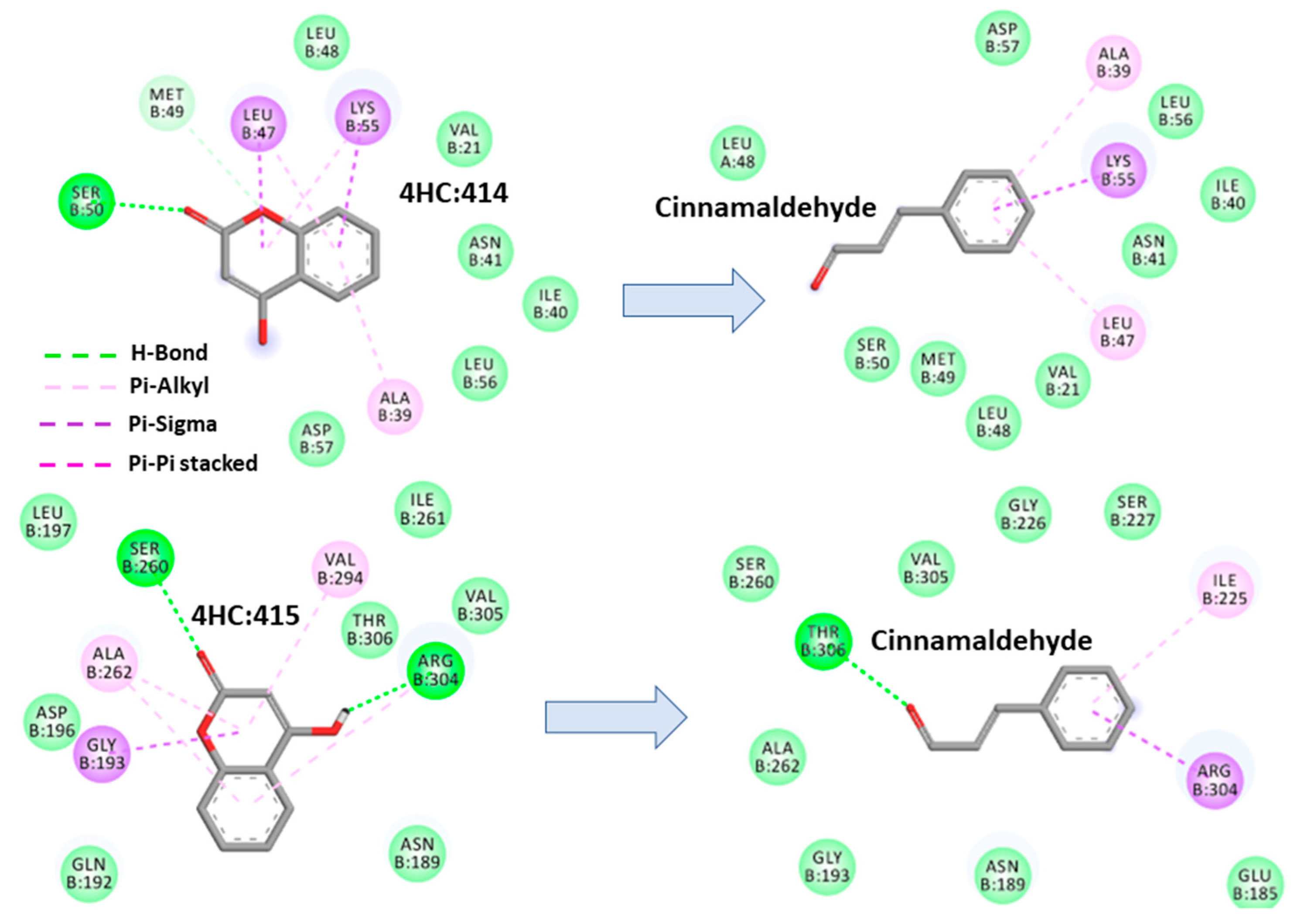 Antibiotics 11 00948 g008