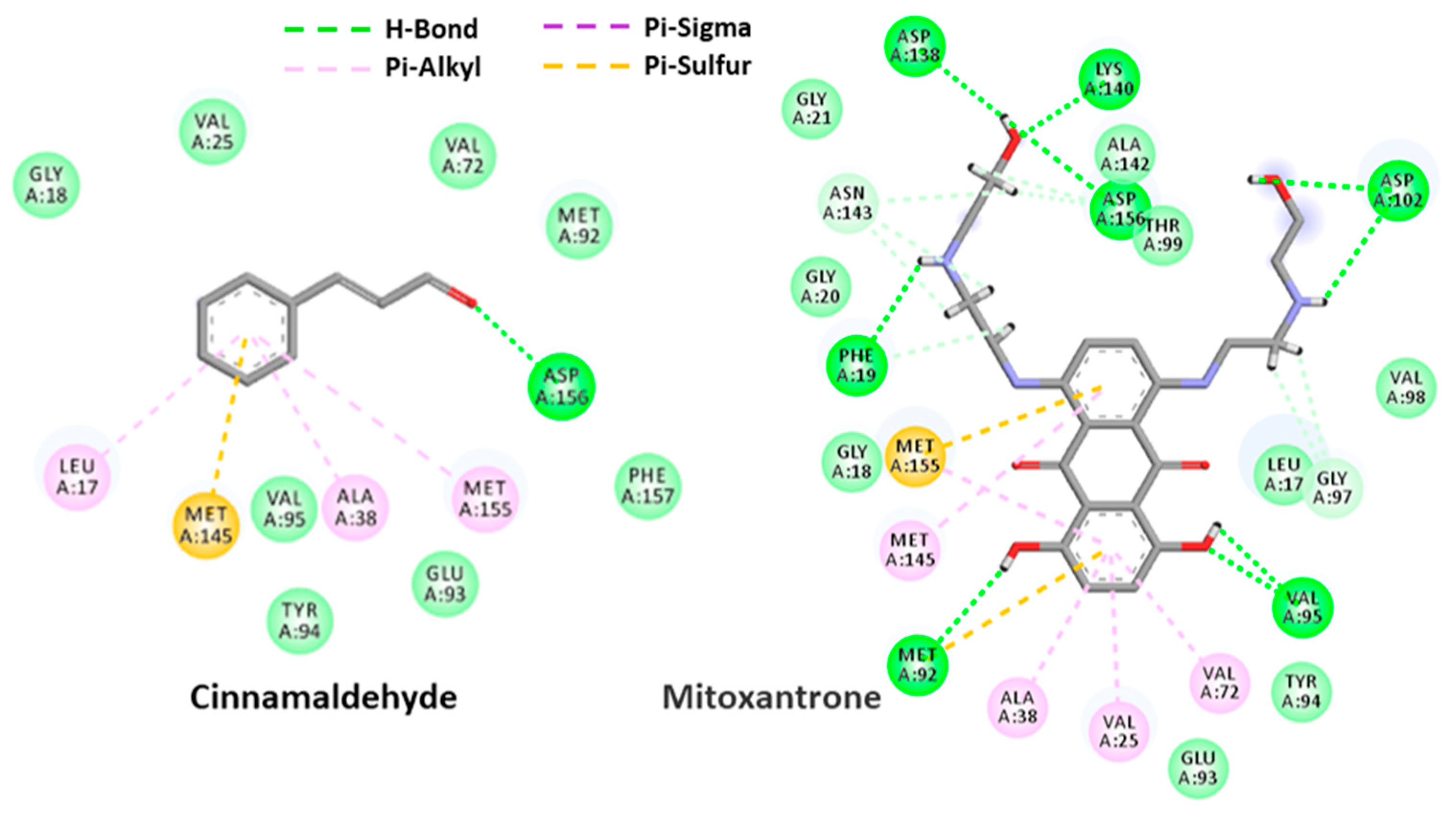 Antibiotics 11 00948 g010