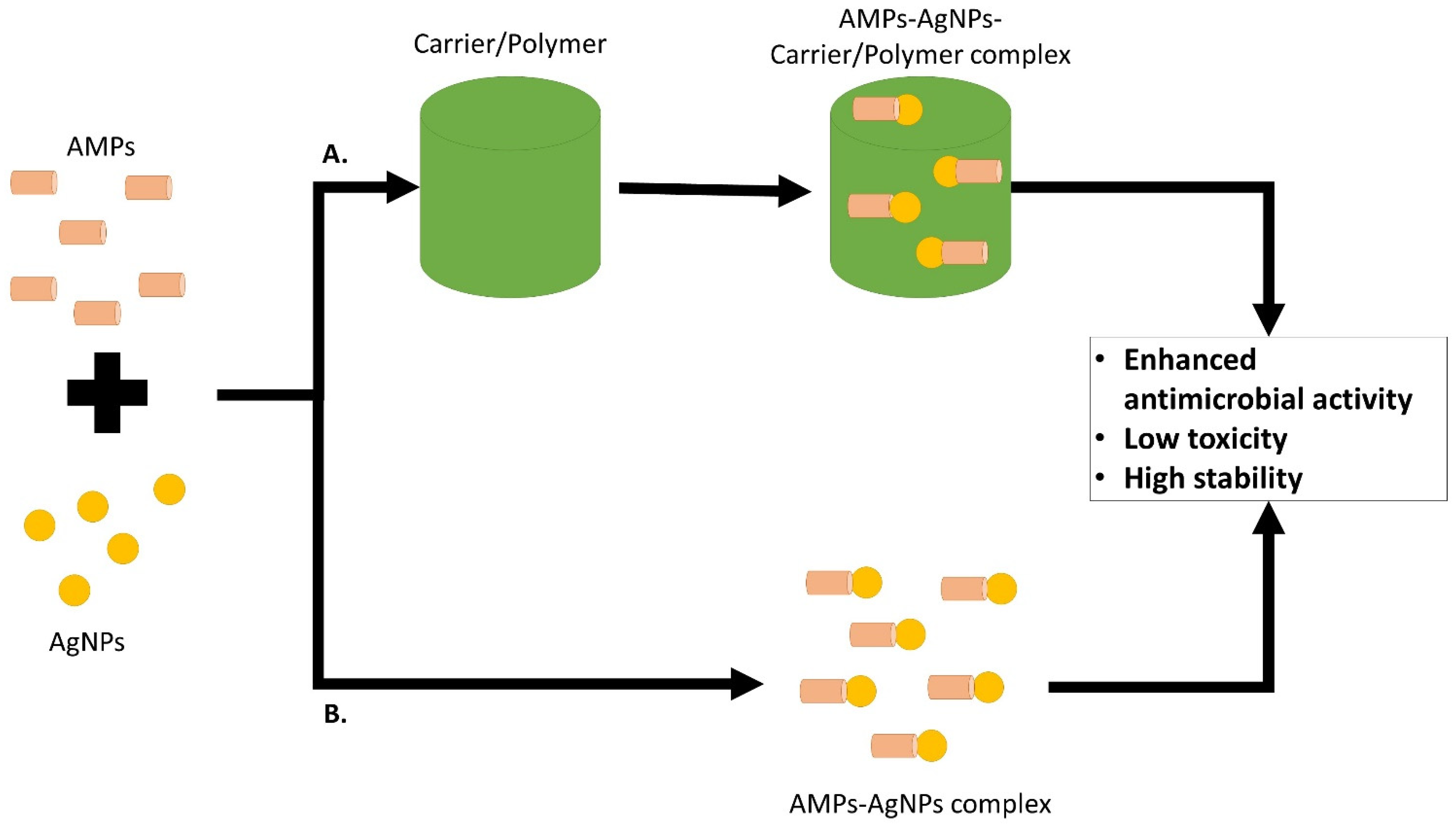 Antibiotics 11 00951 g005