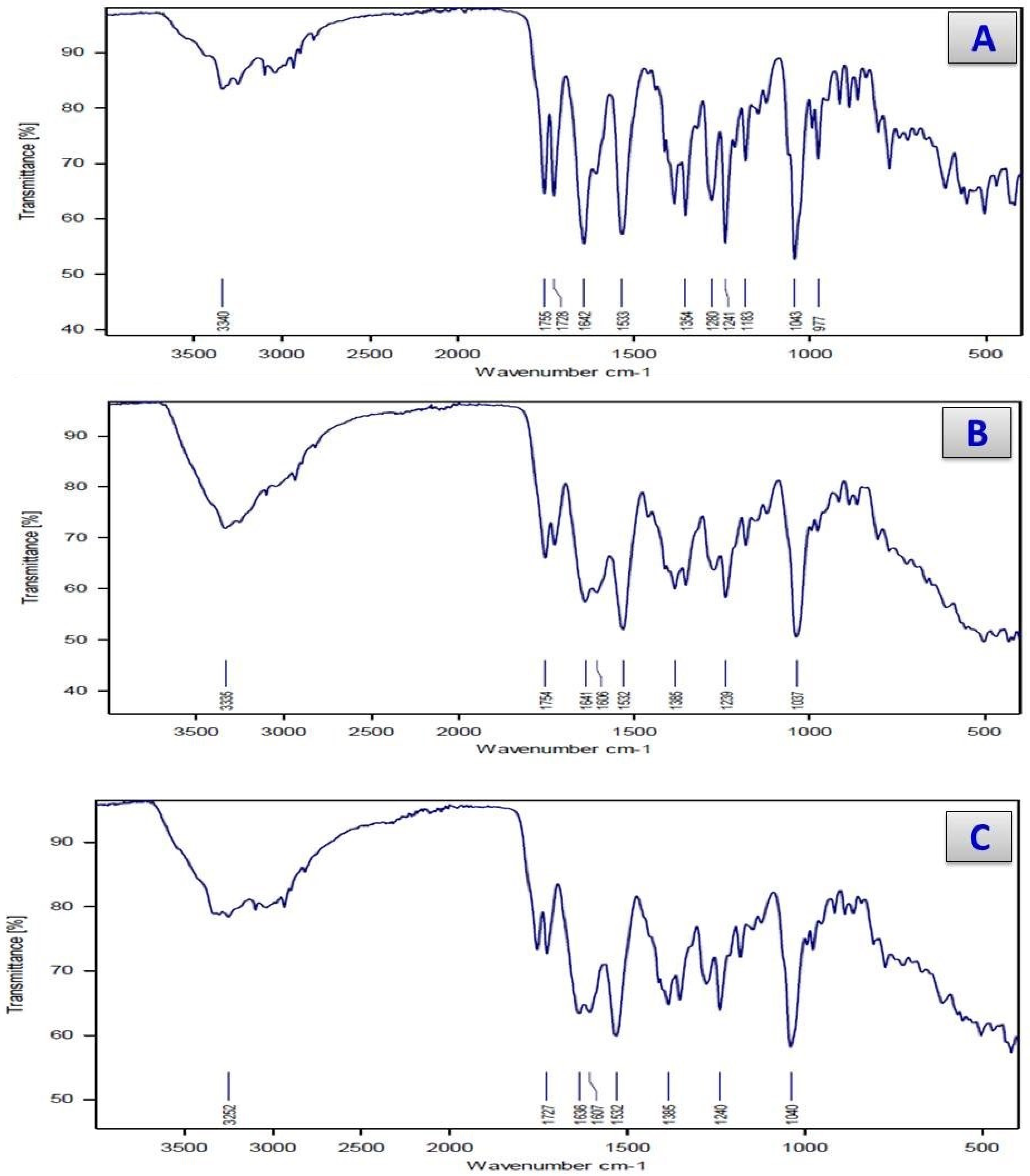 Antibiotics 11 00967 g002a