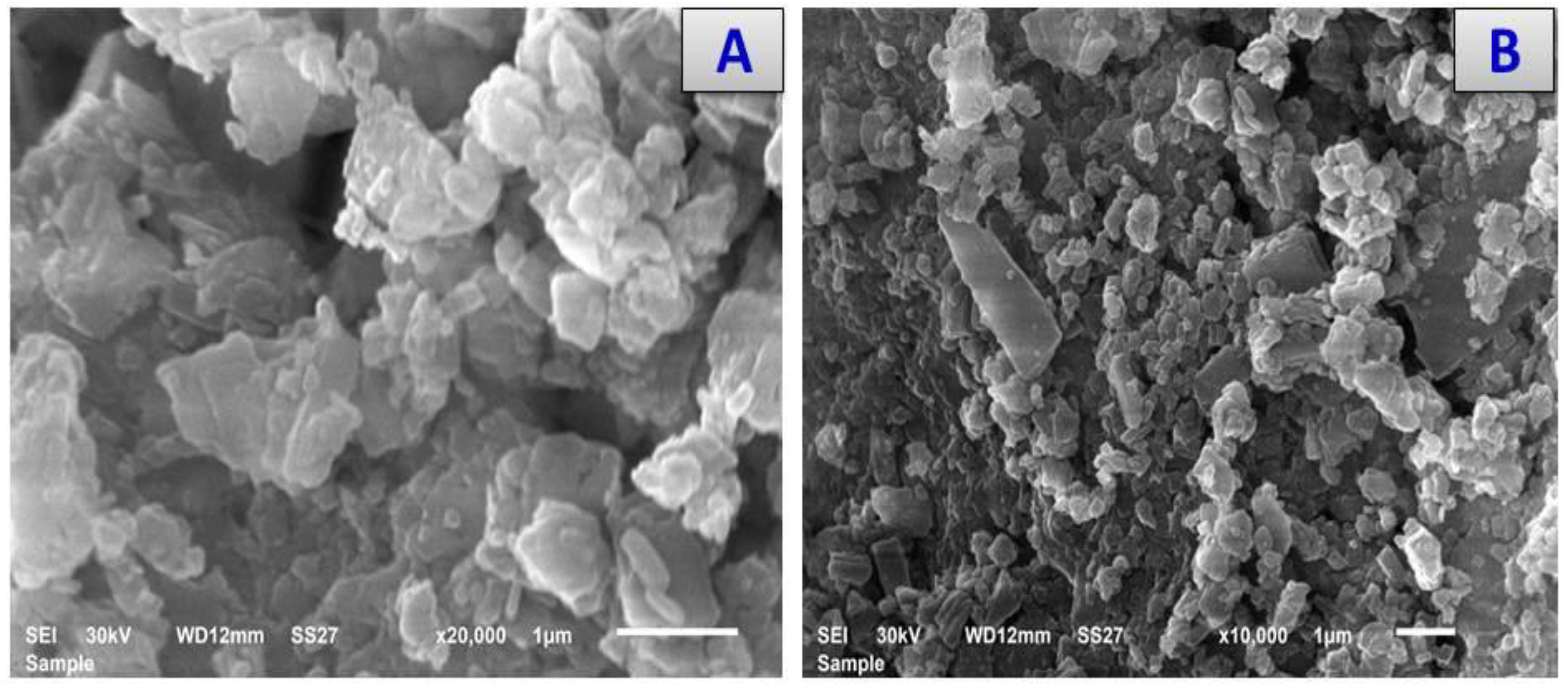 Antibiotics 11 00967 g006a