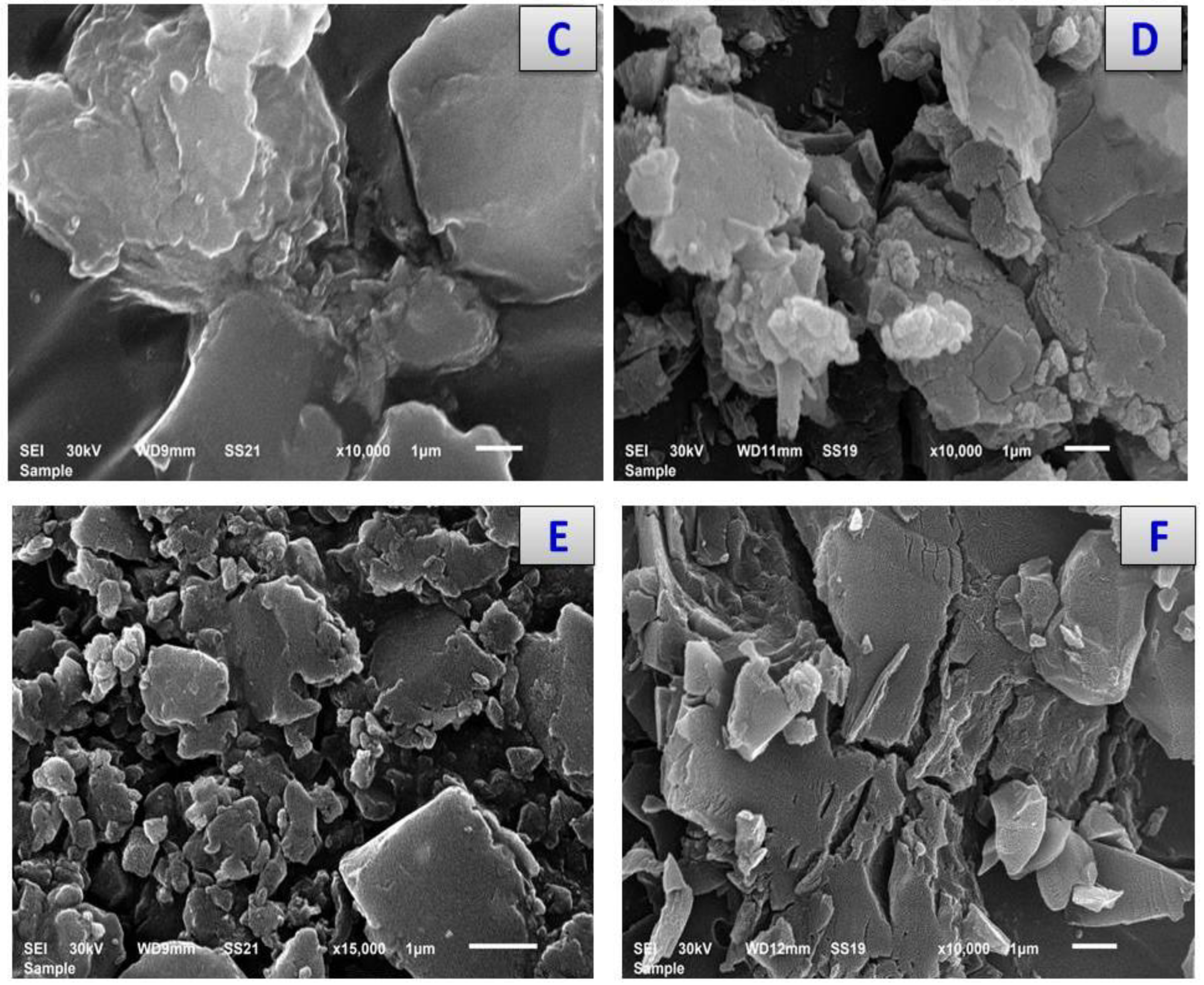 Antibiotics 11 00967 g006b