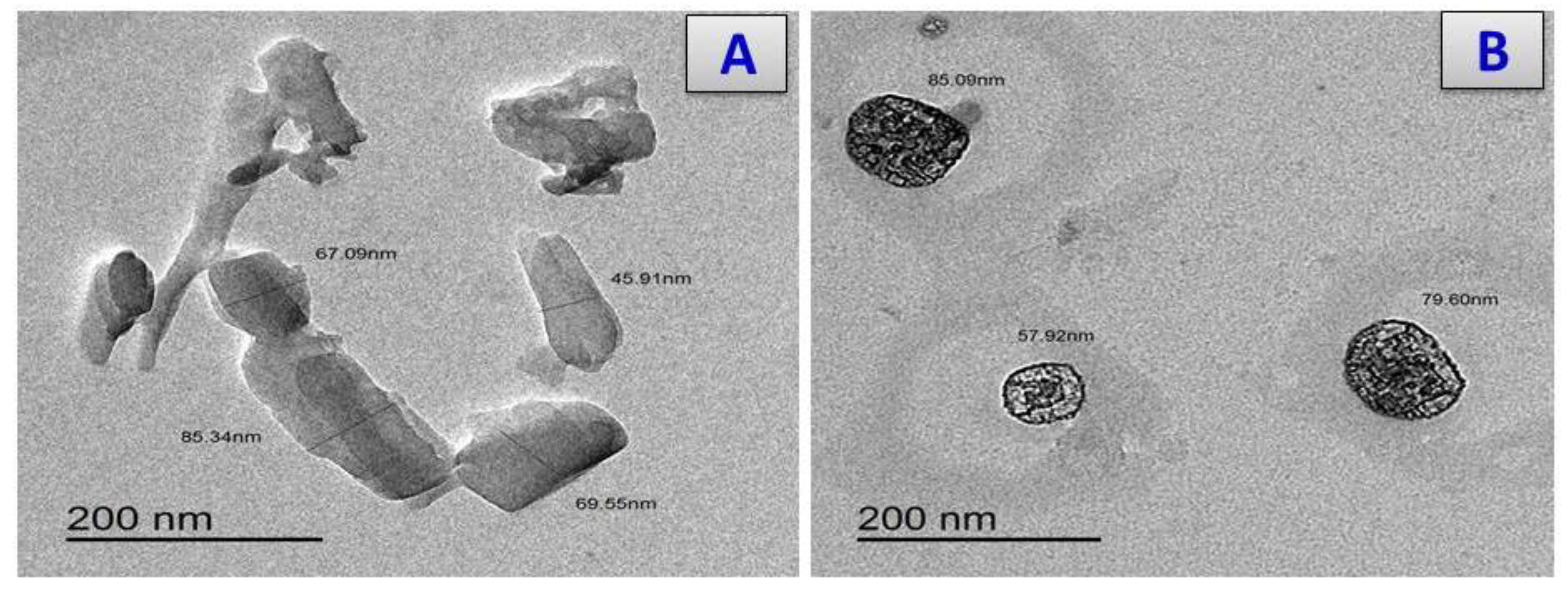 Antibiotics 11 00967 g007a