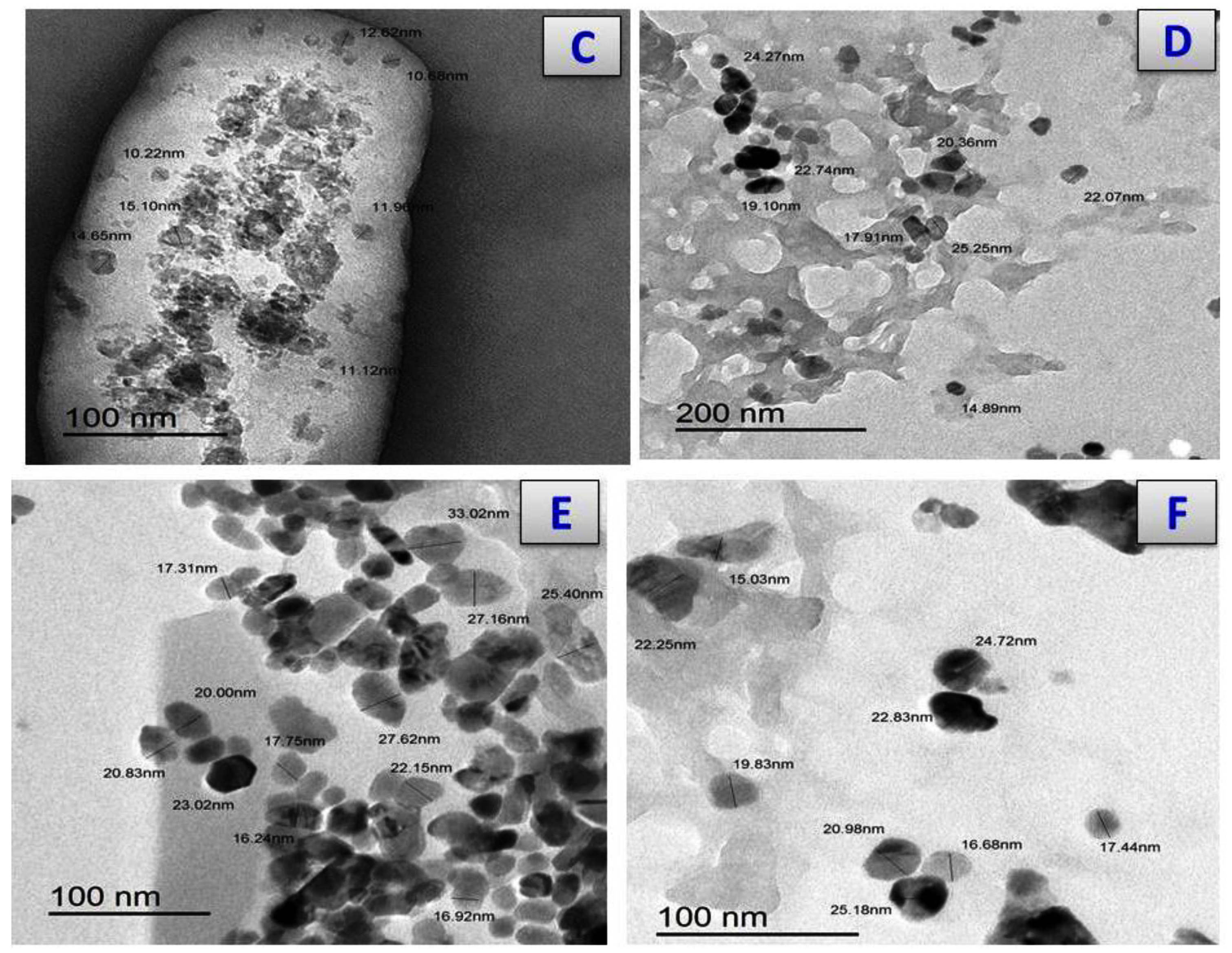 Antibiotics 11 00967 g007b