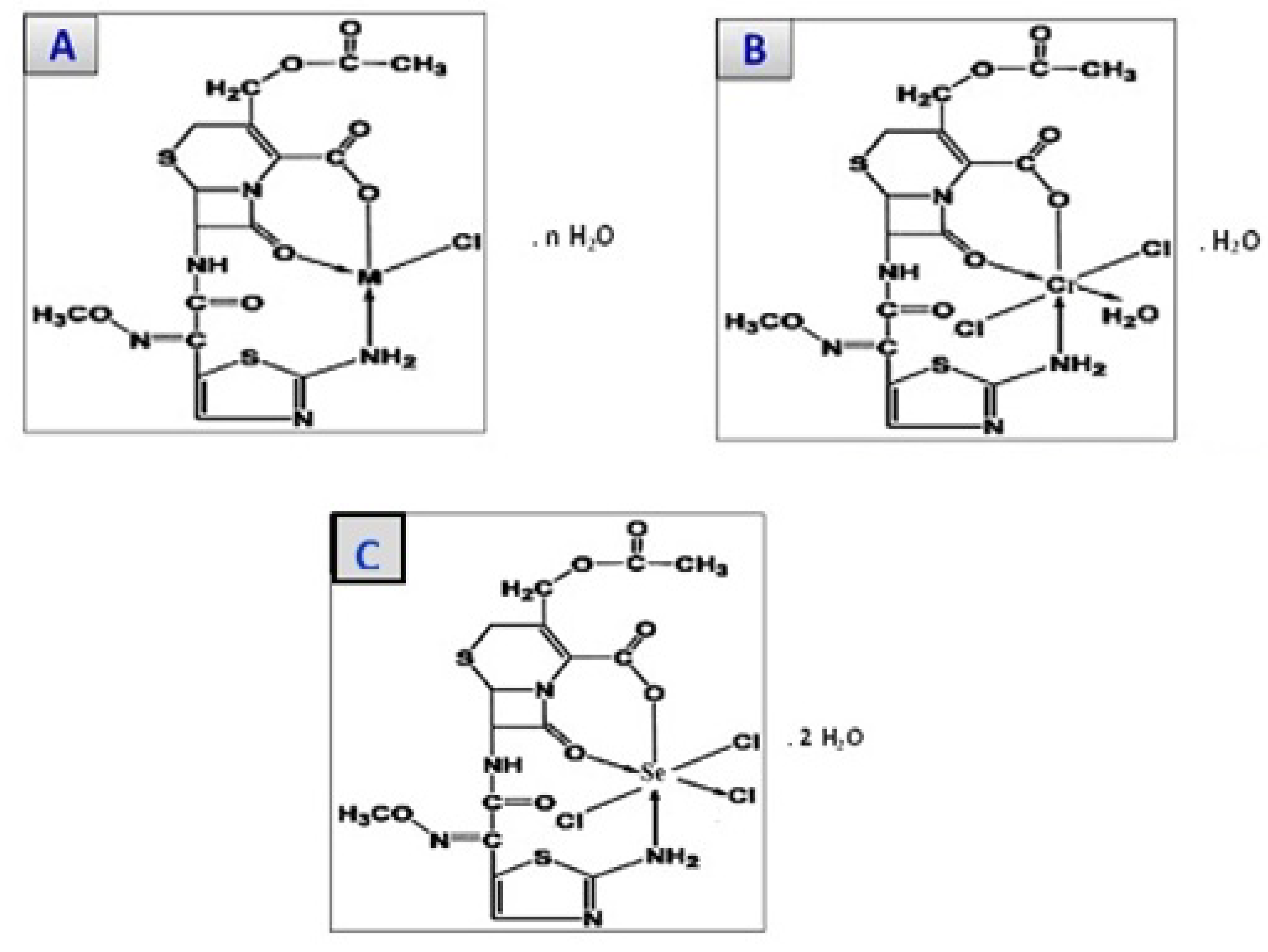 Antibiotics 11 00967 g008