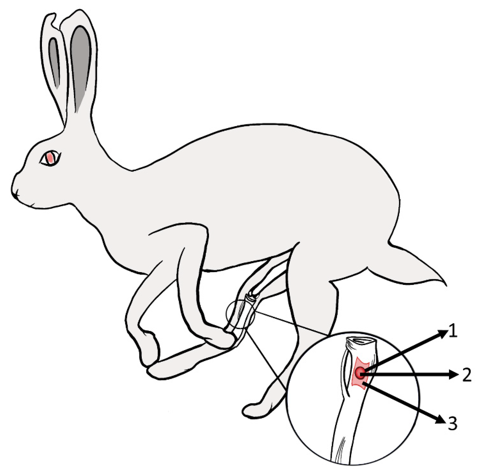 Antibiotics 11 00969 g001