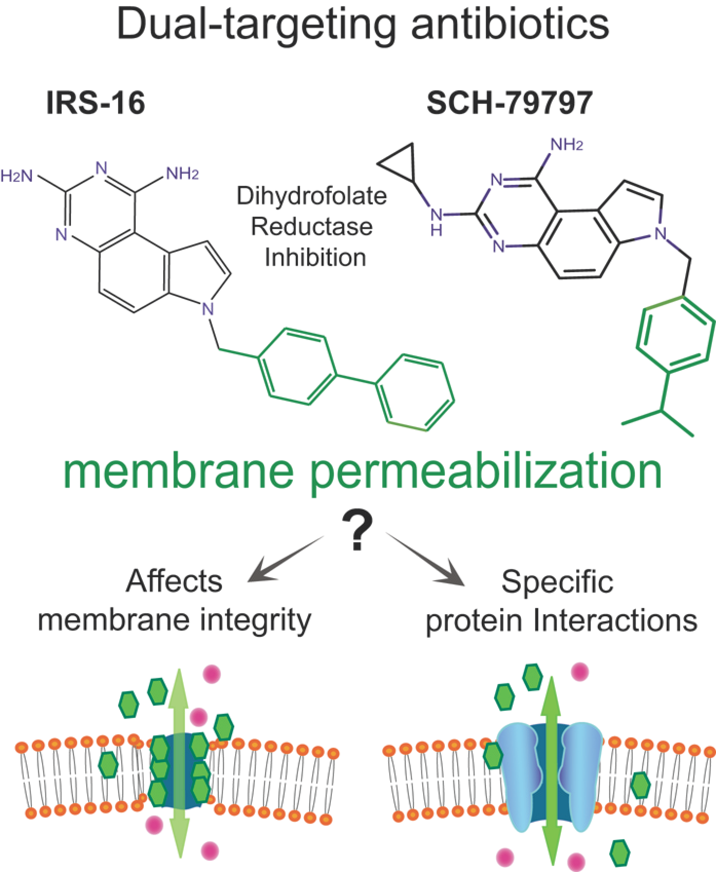 Antibiotics 11 00970 g001