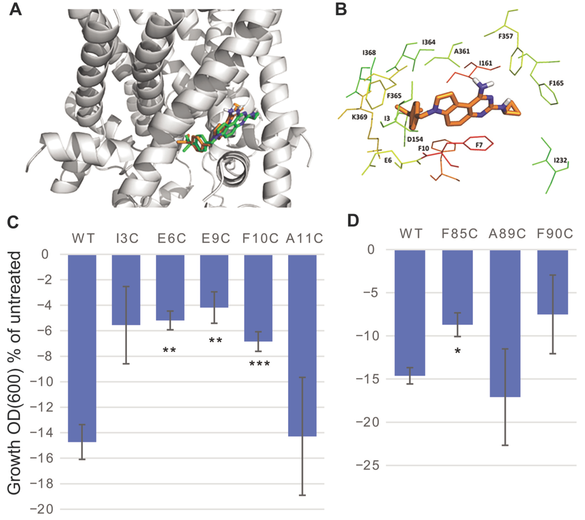 Antibiotics 11 00970 g004