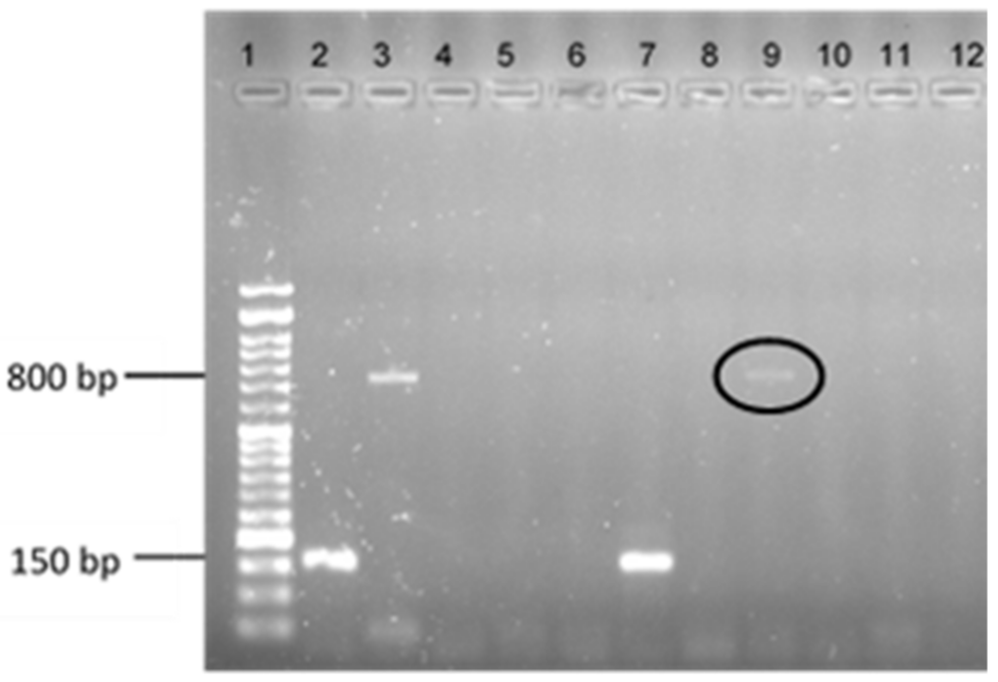 Antibiotics 11 00972 g001 Antibiotics 11 00972 g001