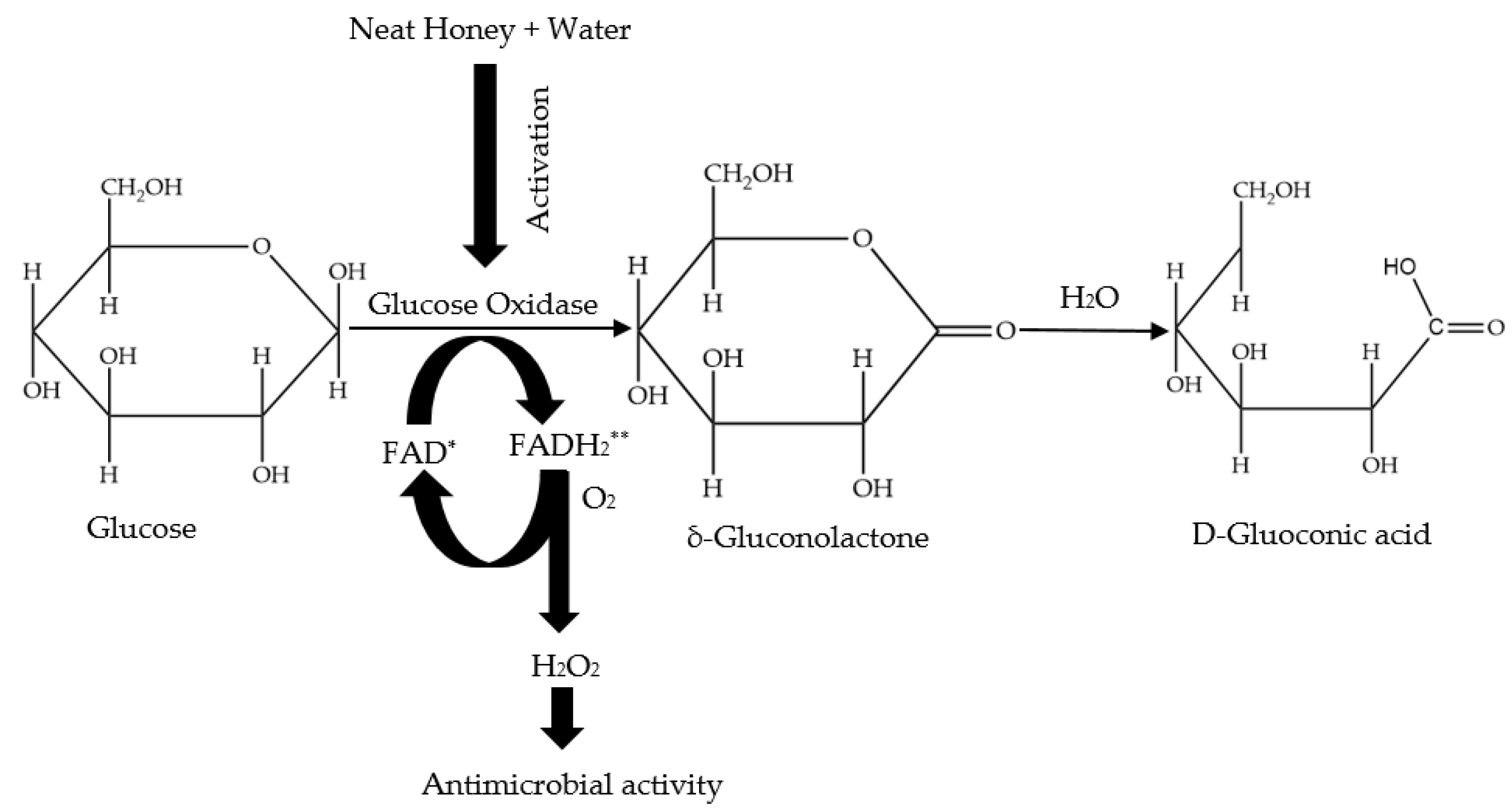 Antibiotics 11 00975 g002 Antibiotics 11 00975 g002