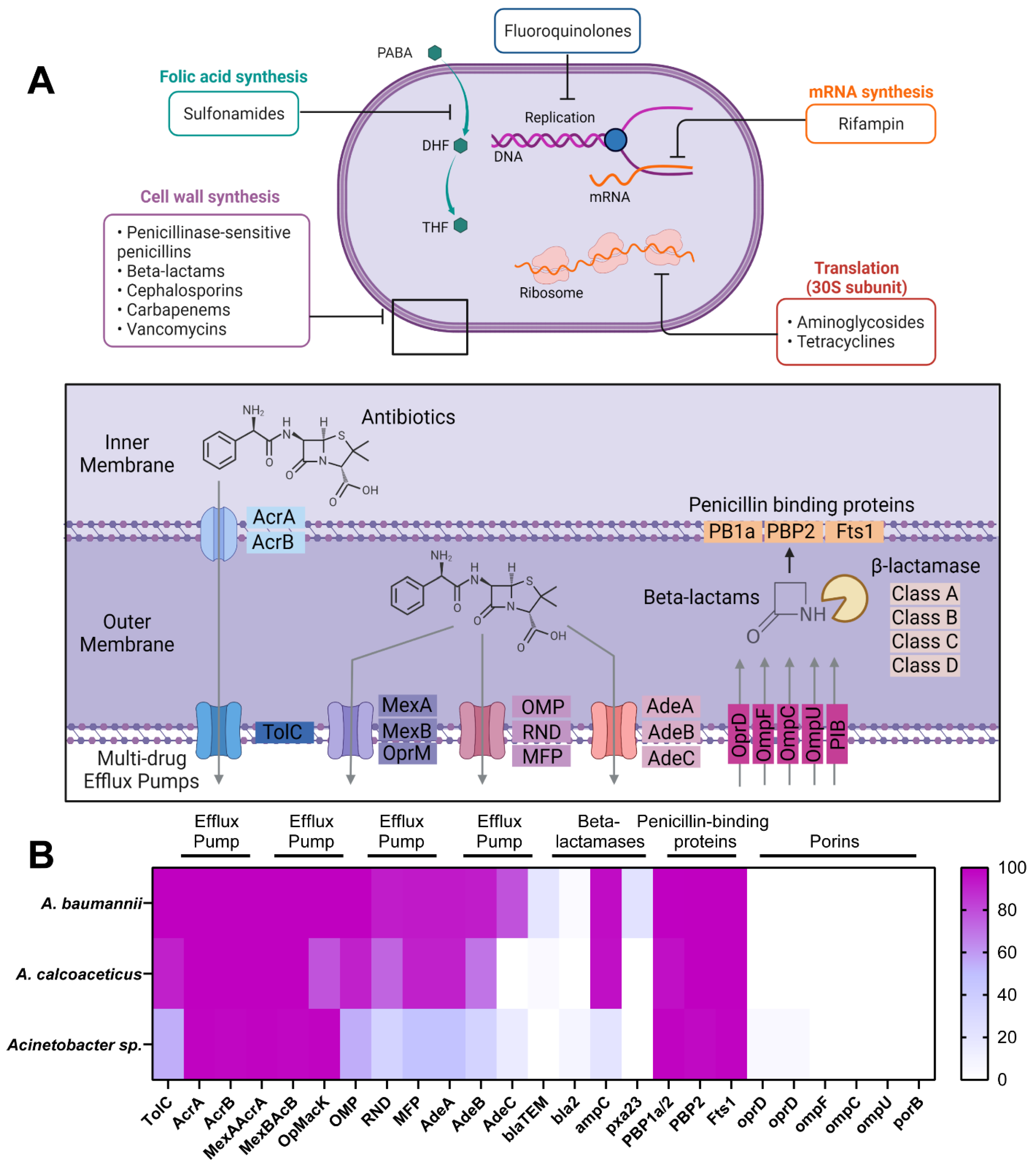 Antibiotics 11 00978 g001