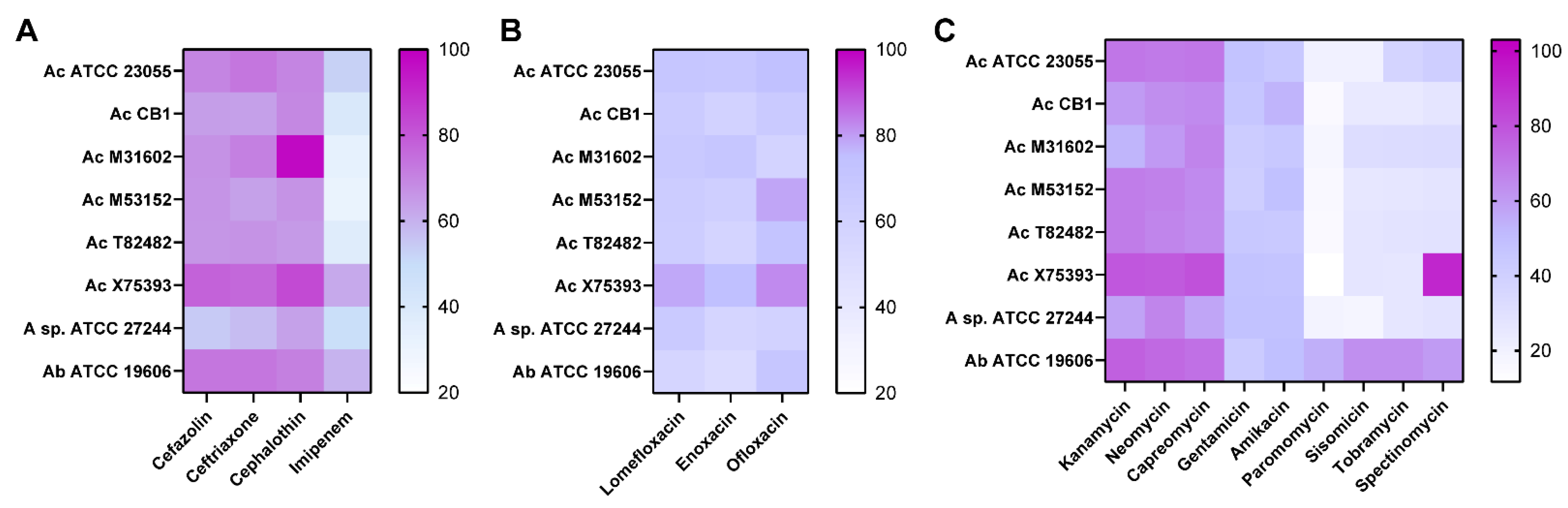 Antibiotics 11 00978 g002