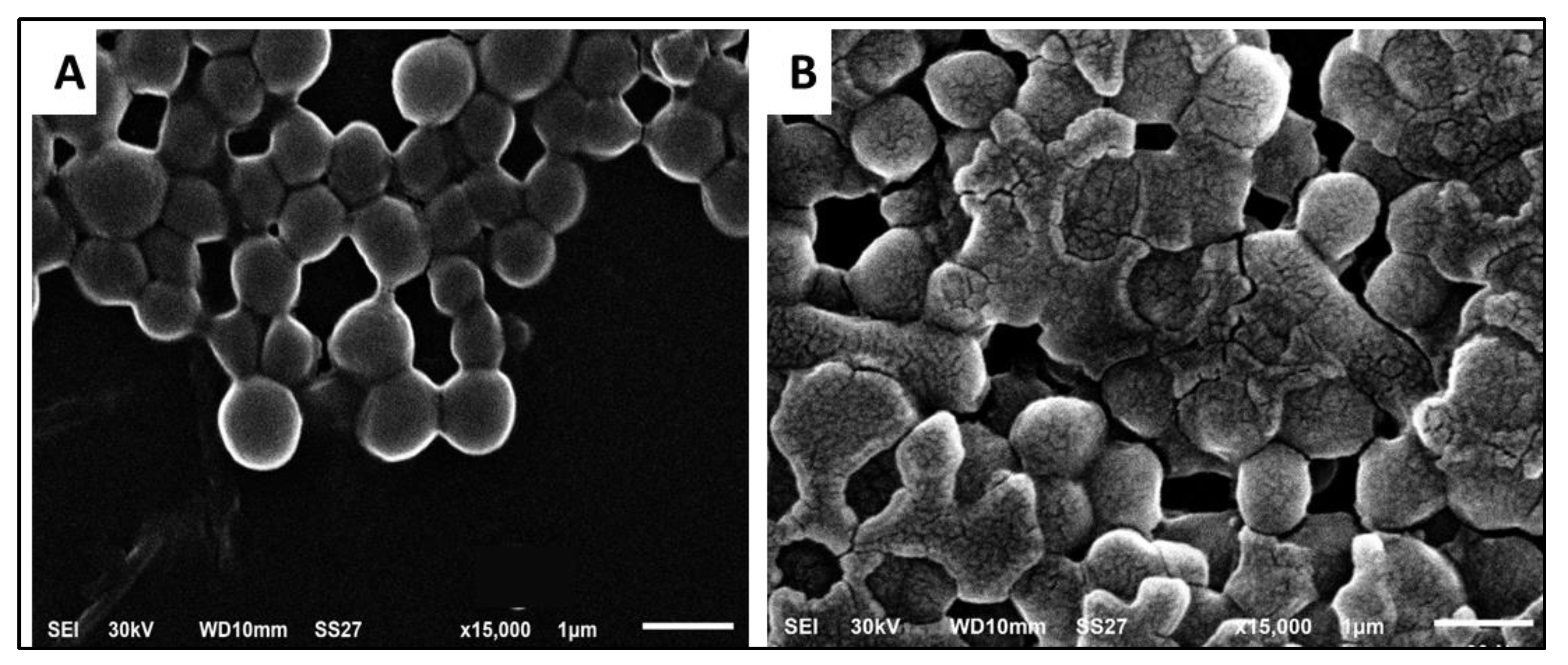 Antibiotics 11 00993 g008 Antibiotics 11 00993 g008