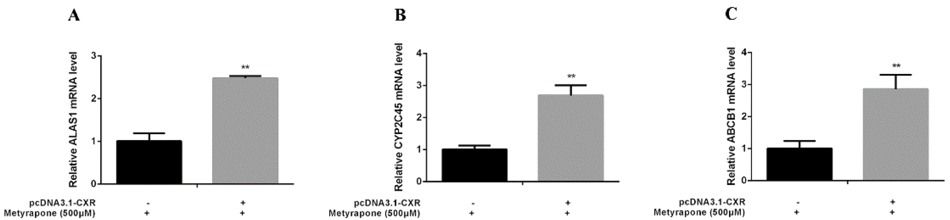 Antibiotics 11 01005 g004