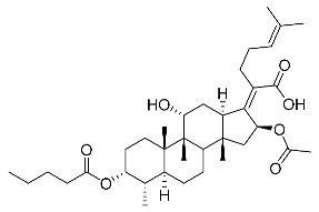 Antibiotics 11 01026 i005