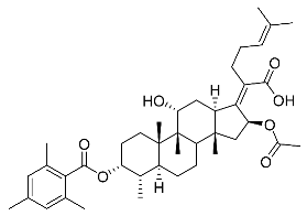 Antibiotics 11 01026 i013