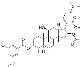 Antibiotics 11 01026 i019