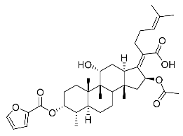 Antibiotics 11 01026 i025