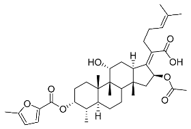 Antibiotics 11 01026 i026
